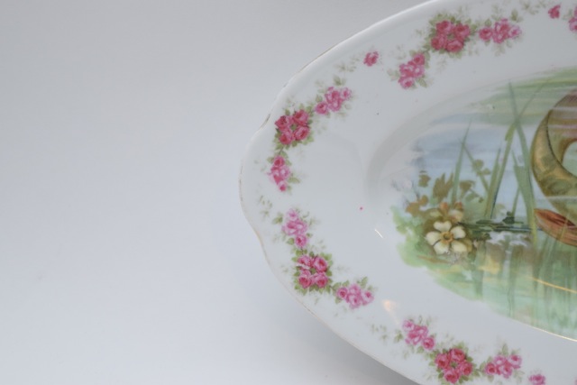 Imperial Crown China Austria Porcelain Fish Platter