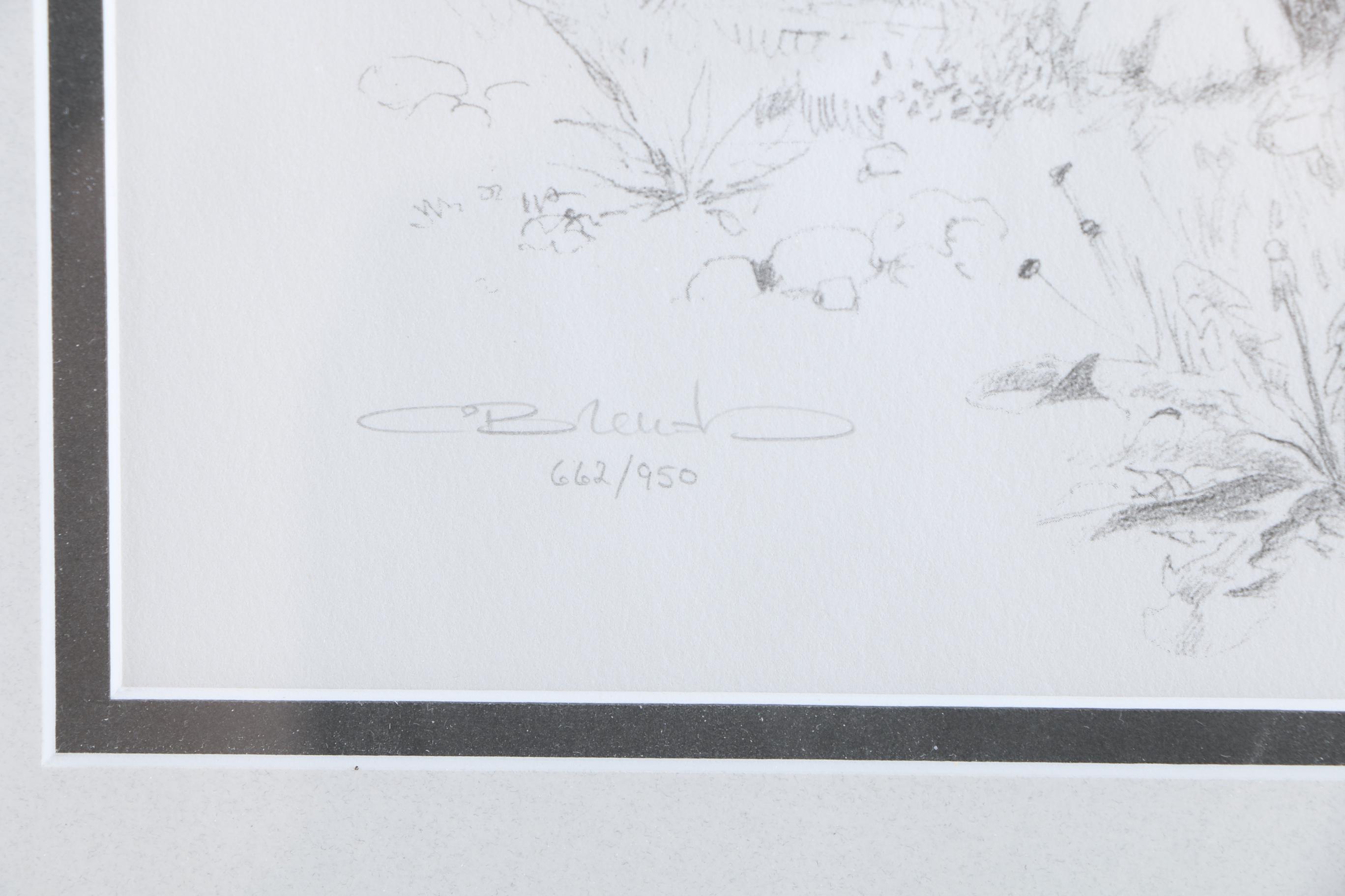 C. Brenders Limited Edition Offset Lithograph of a Wolf