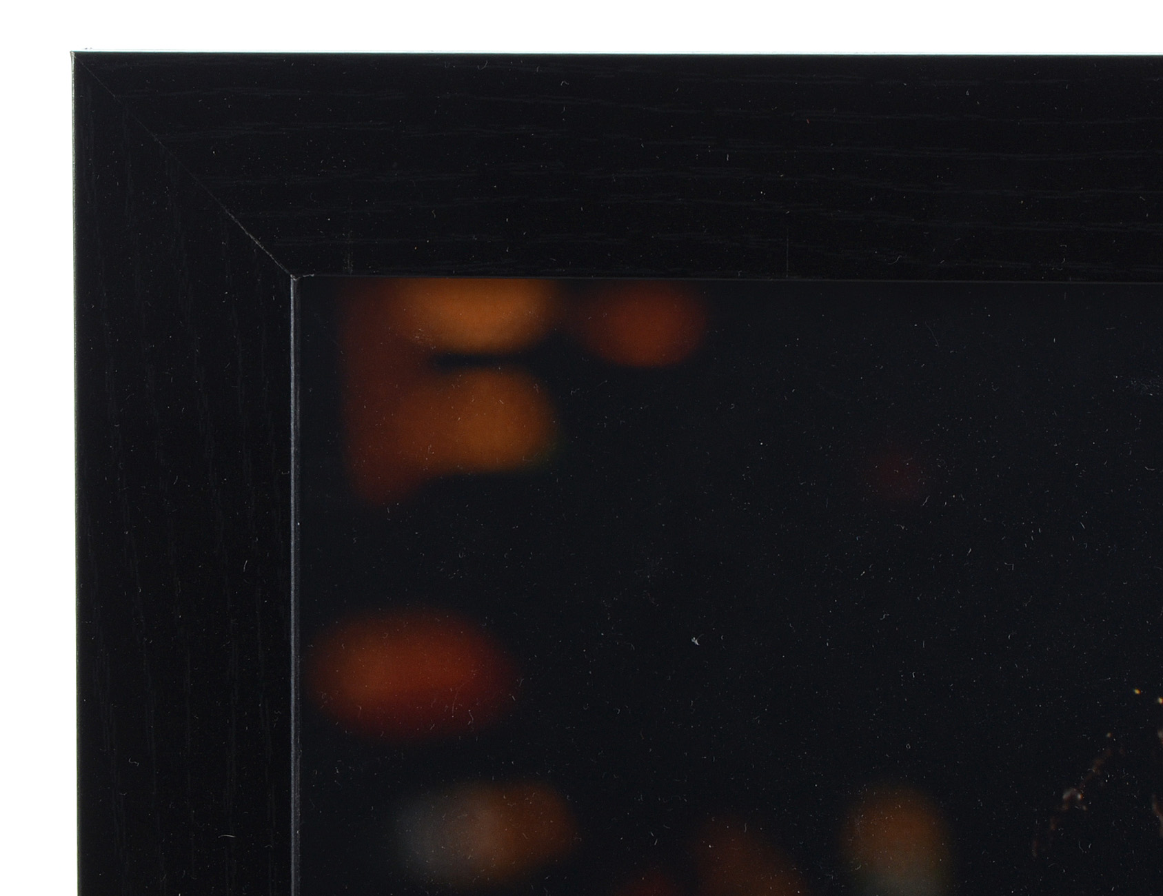 Autographed Poster of William Shatner