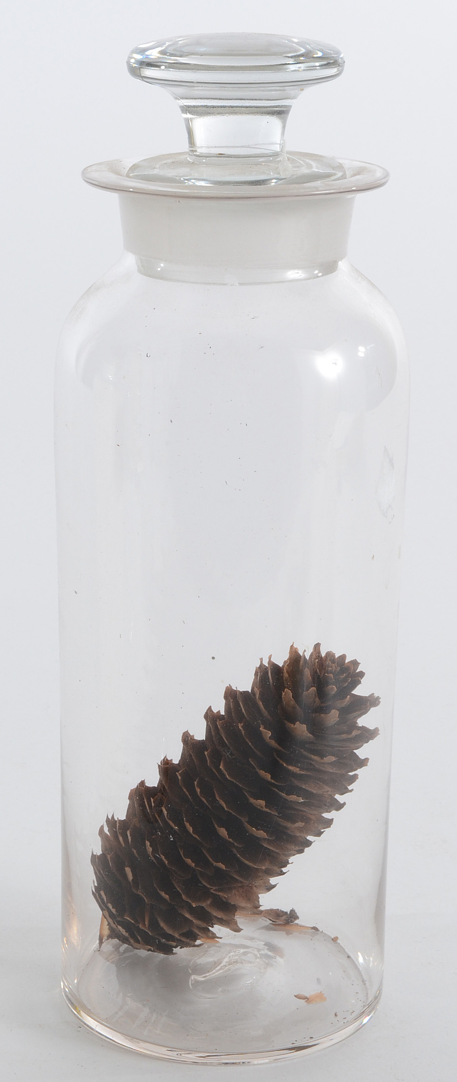 Five Antique Apothecary Jars