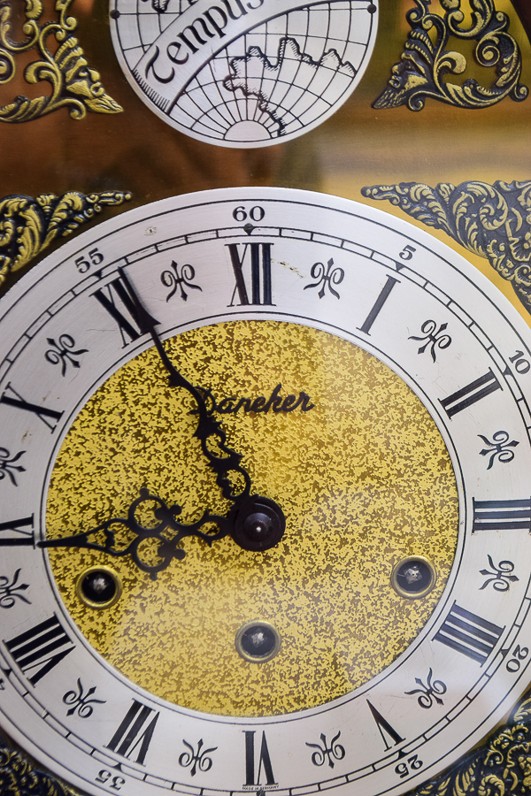 Daneker Tempus Fugit Grandfather Clock