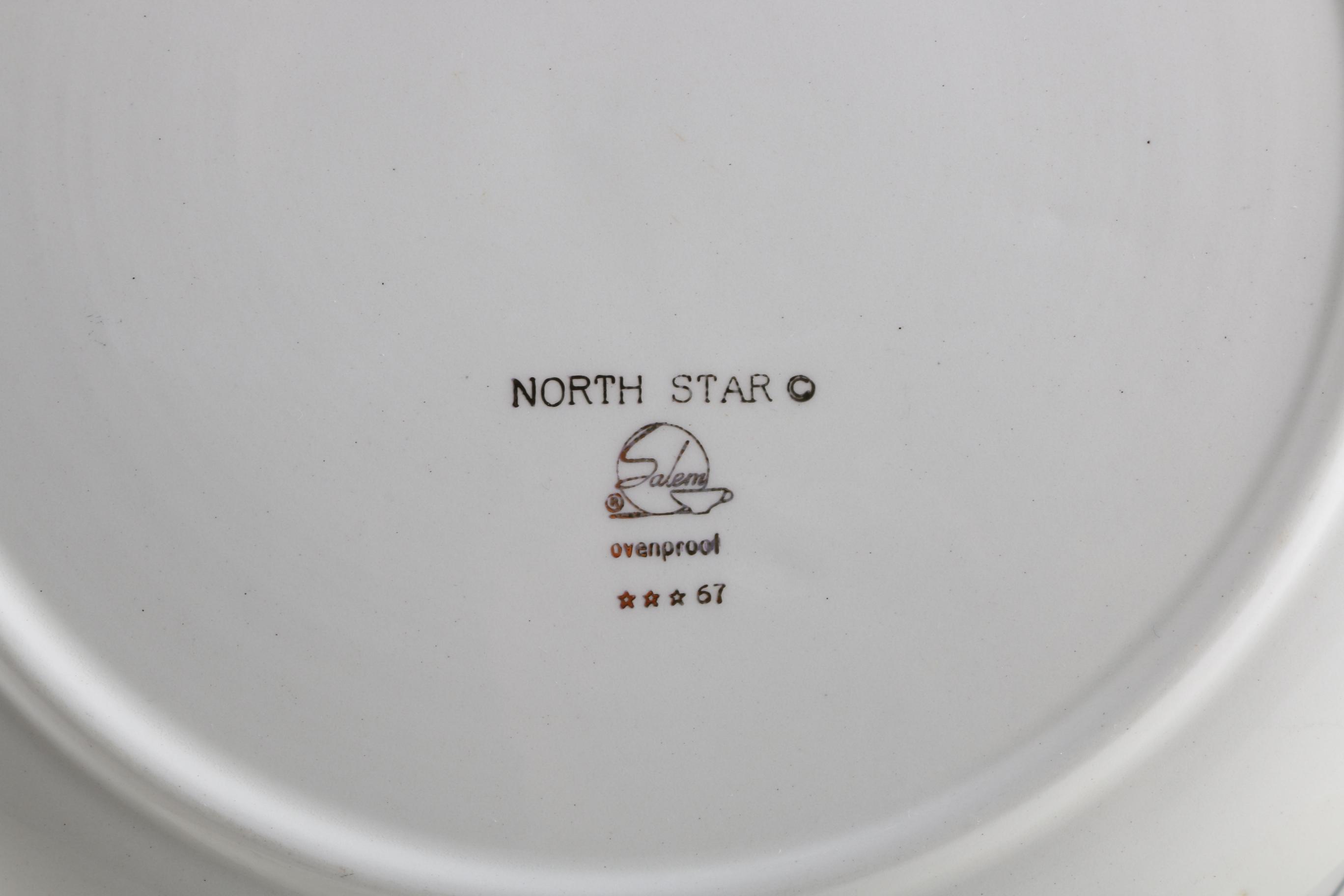 Set of Salem "North Star" Dinnerware