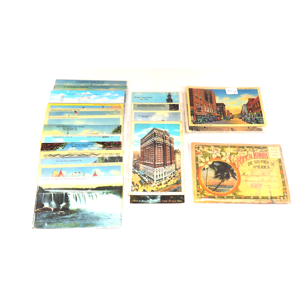 Vintage Postcards from Florida and New York