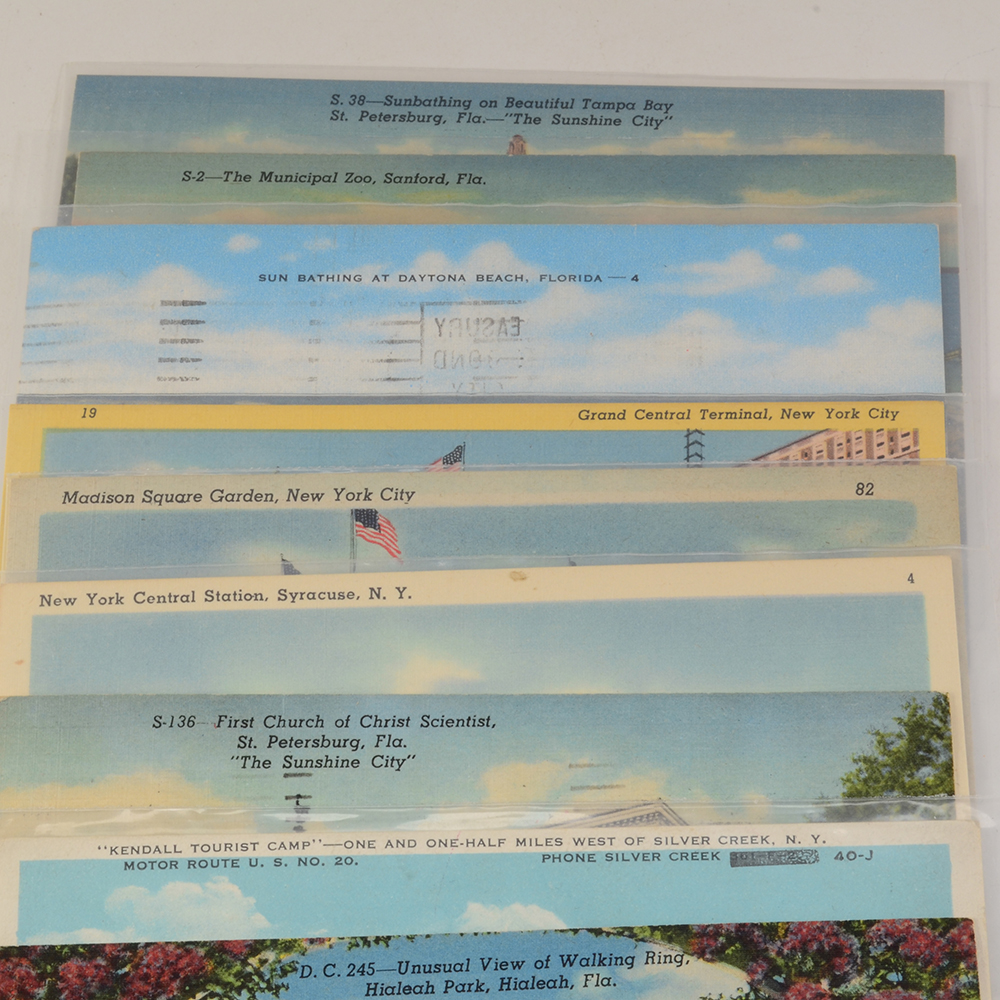 Vintage Postcards from Florida and New York