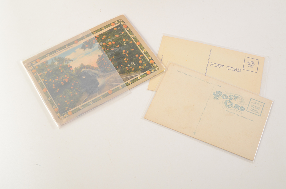 Vintage Postcards from Florida and New York