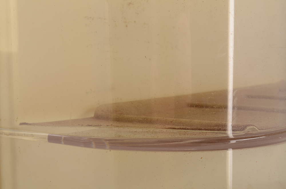 Store Display Case For Lorus Watches