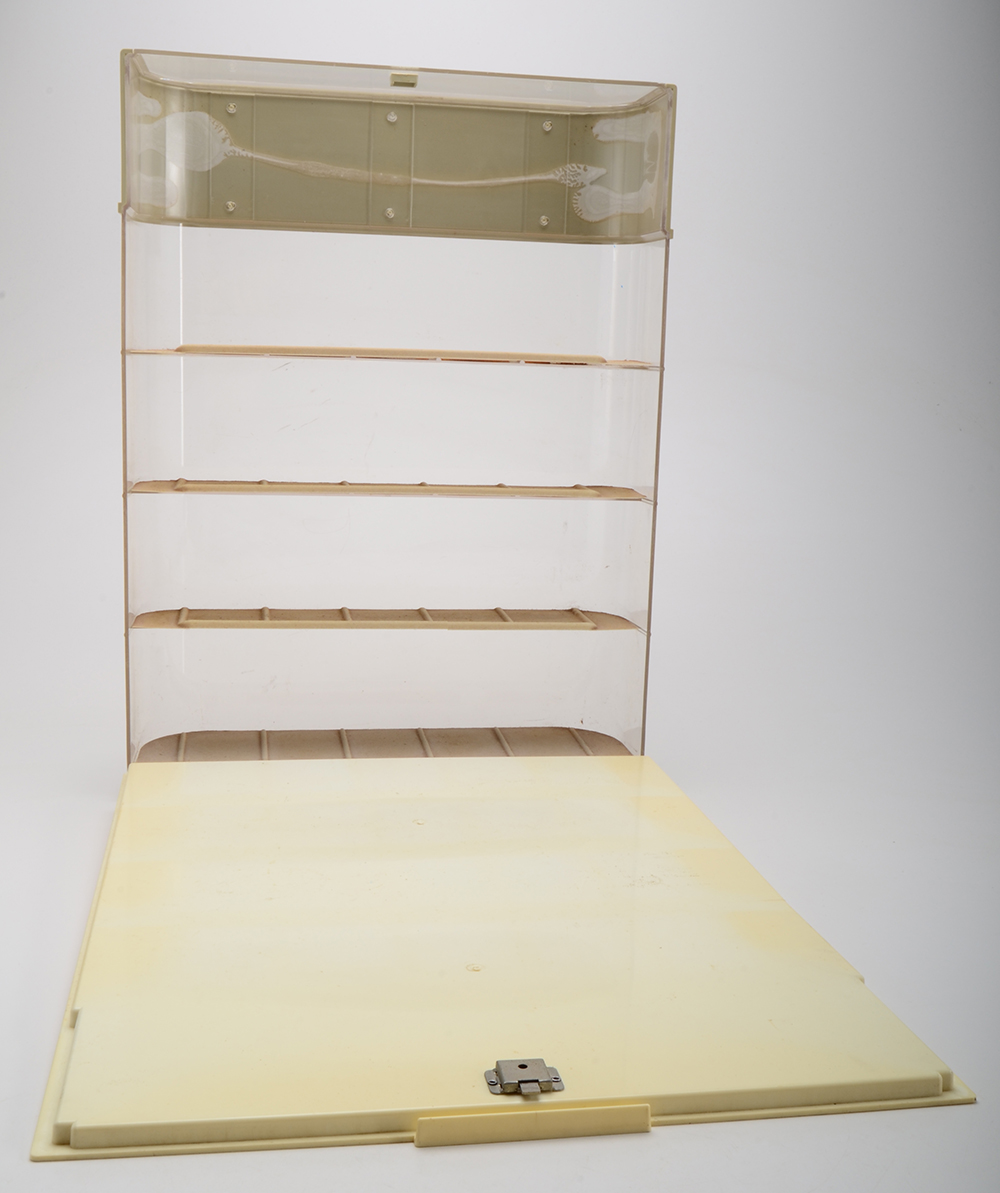 Store Display Case For Lorus Watches