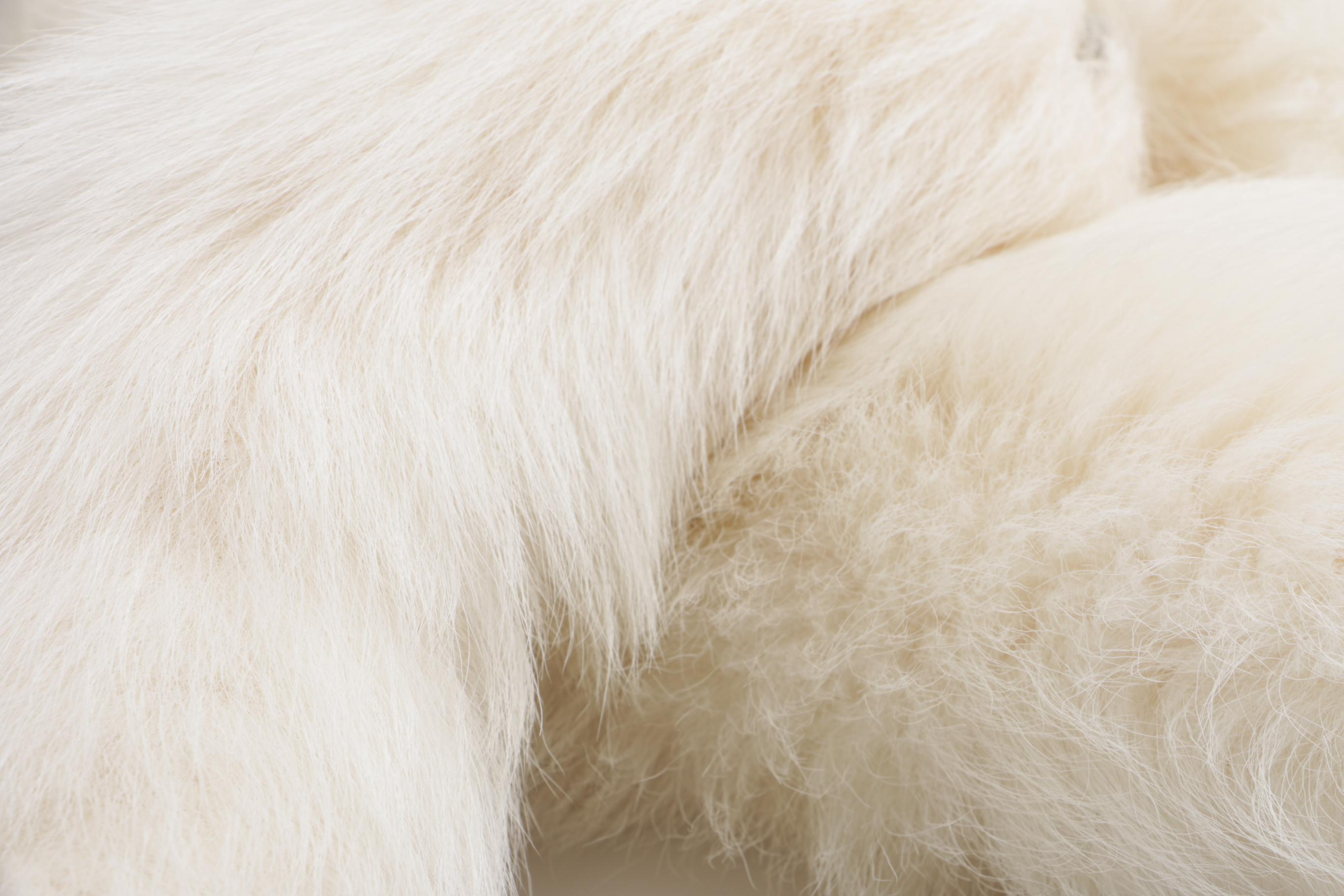 Vintage White Fox Scarf With Clasp