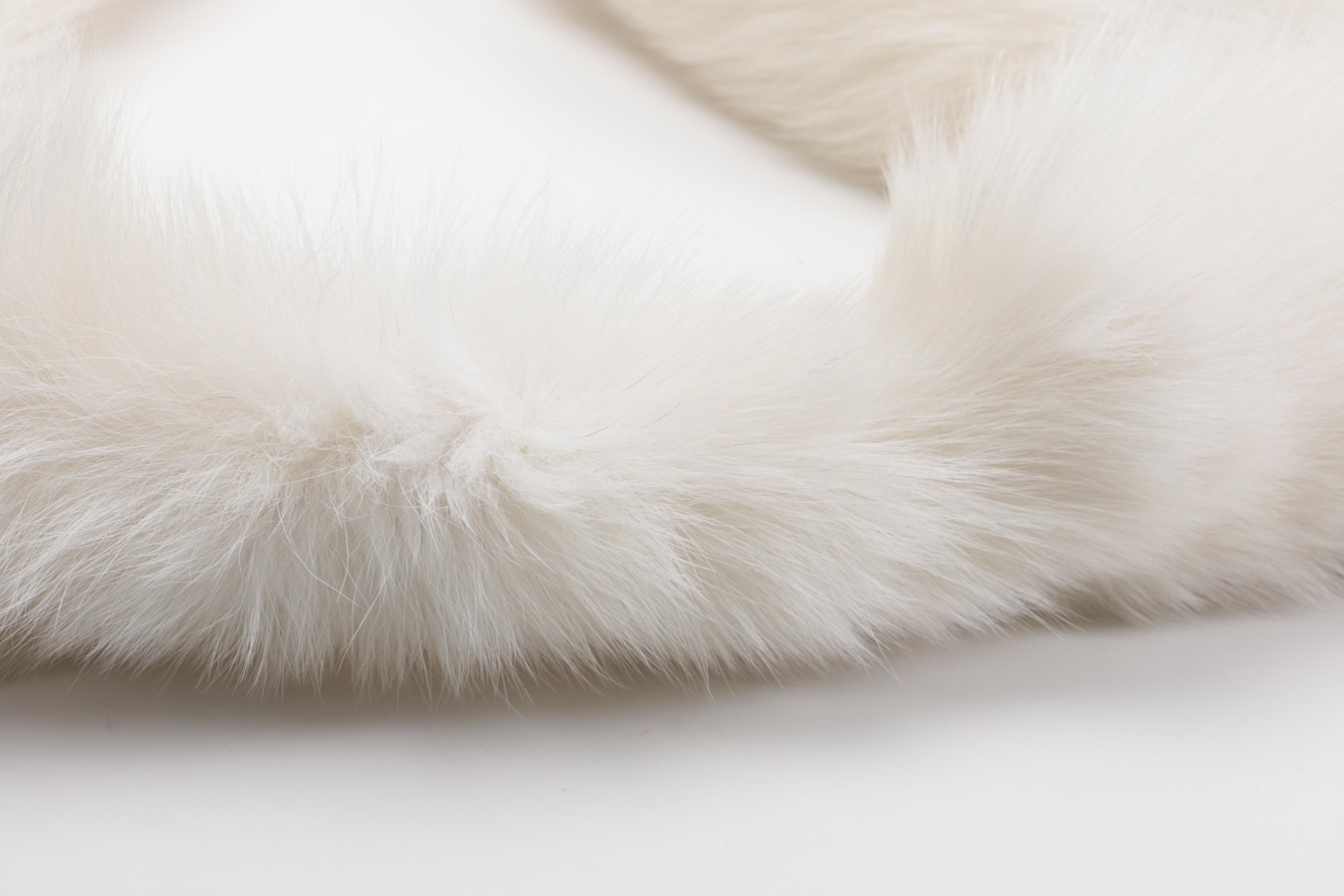 Vintage White Fox Scarf With Clasp