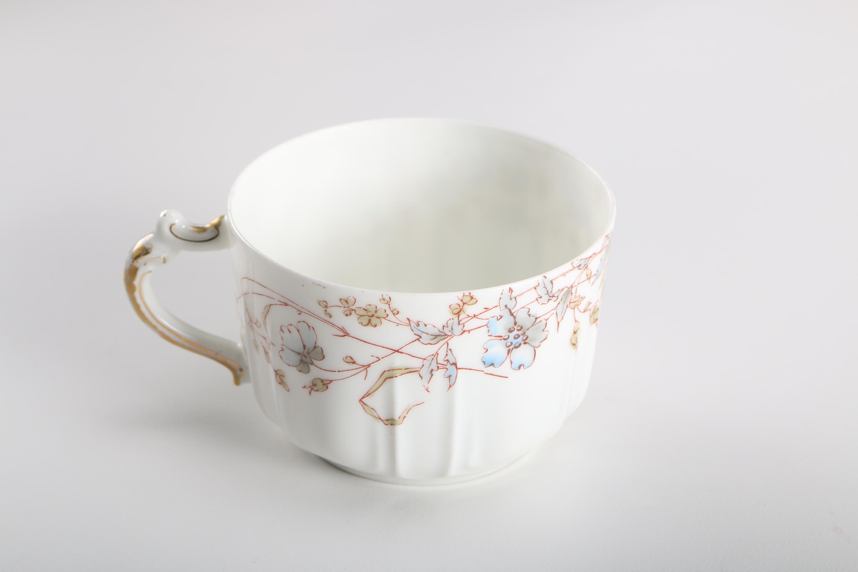 Haviland & Co. Limoges Porcelain Dinner Ware