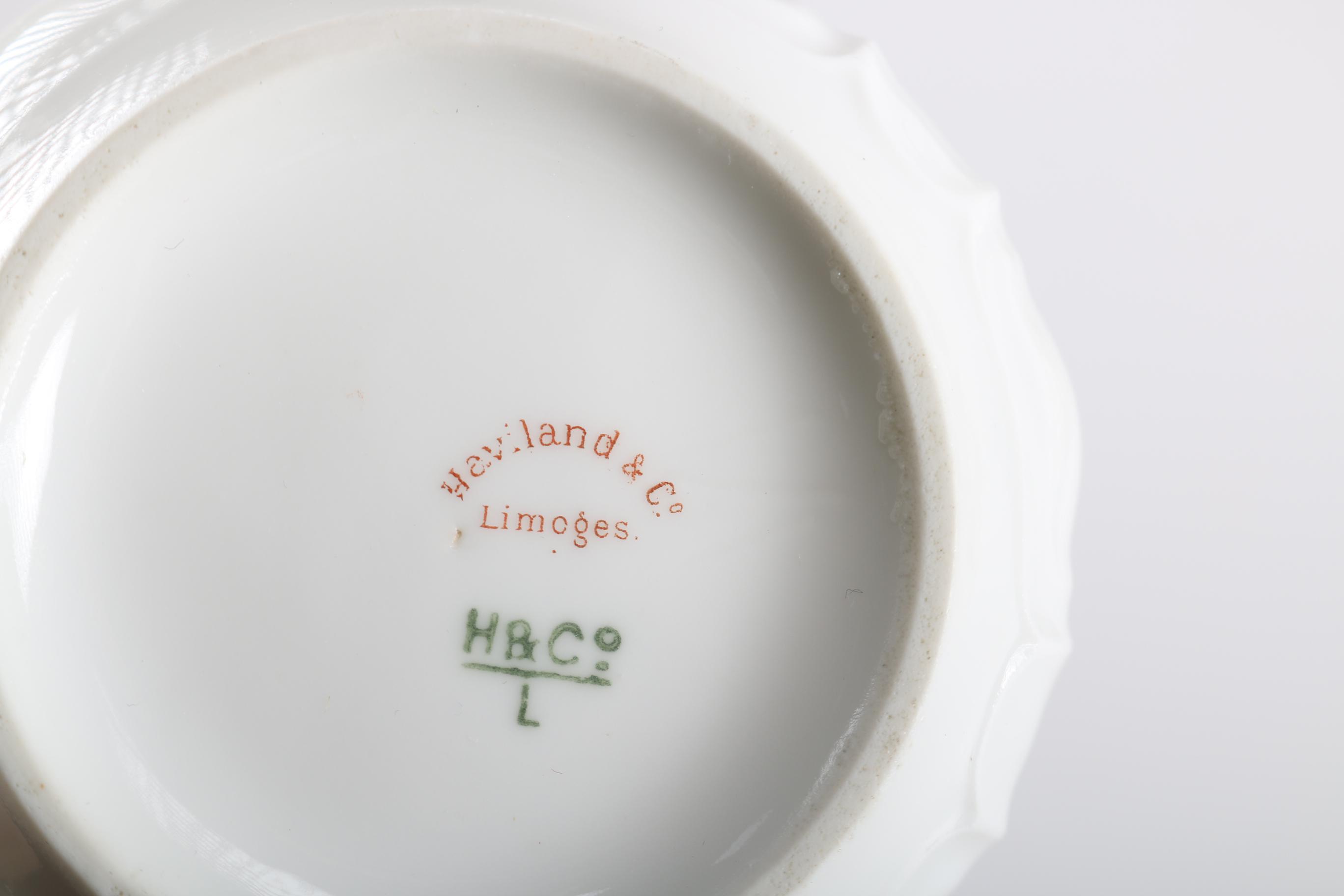 Haviland & Co. Limoges Porcelain Dinner Ware