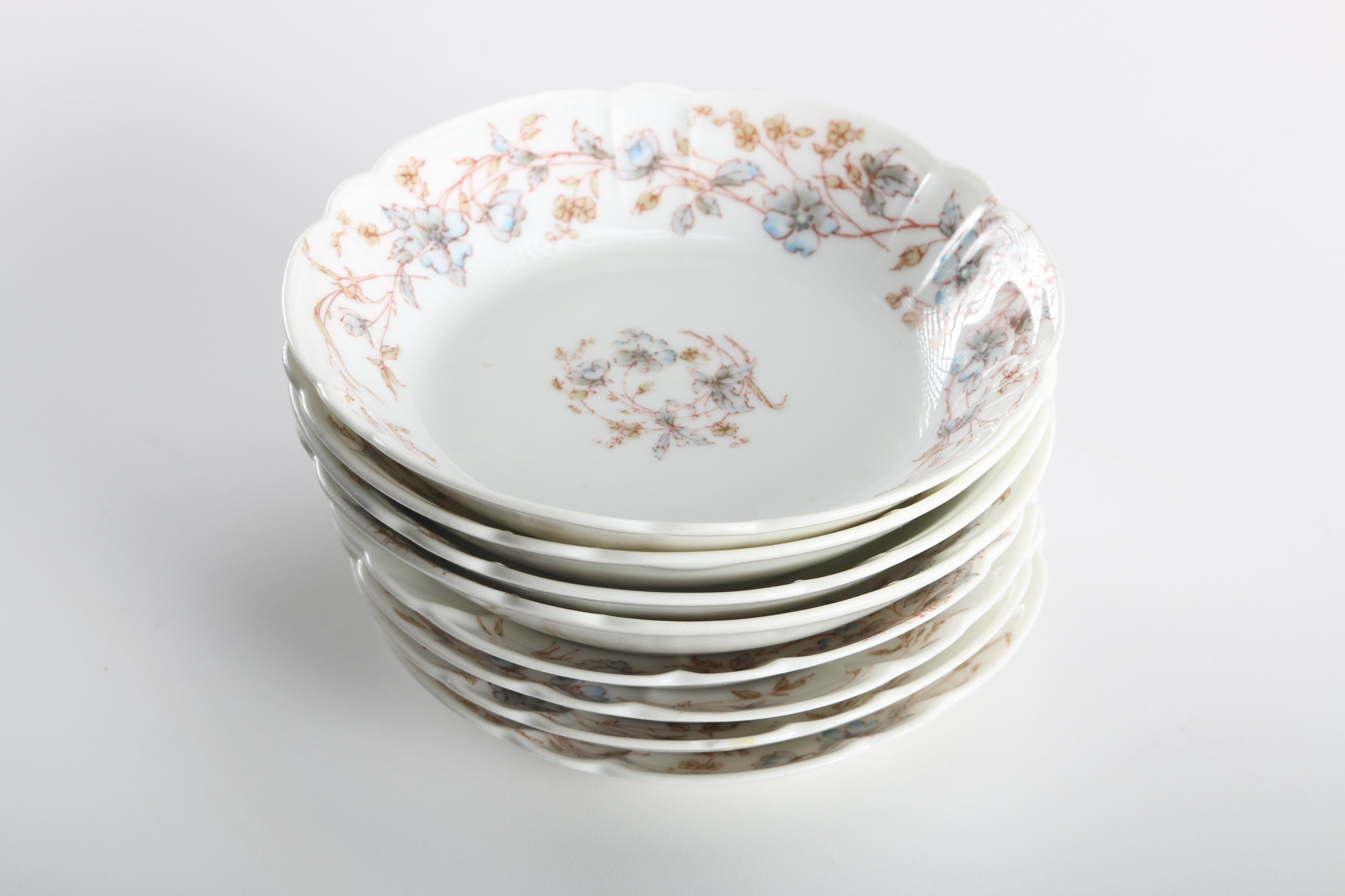 Haviland & Co. Limoges Porcelain Dinner Ware