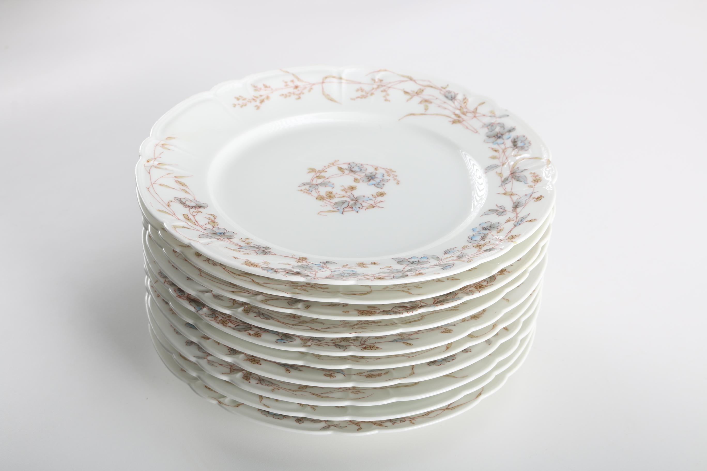 Haviland & Co. Limoges Porcelain Dinner Ware