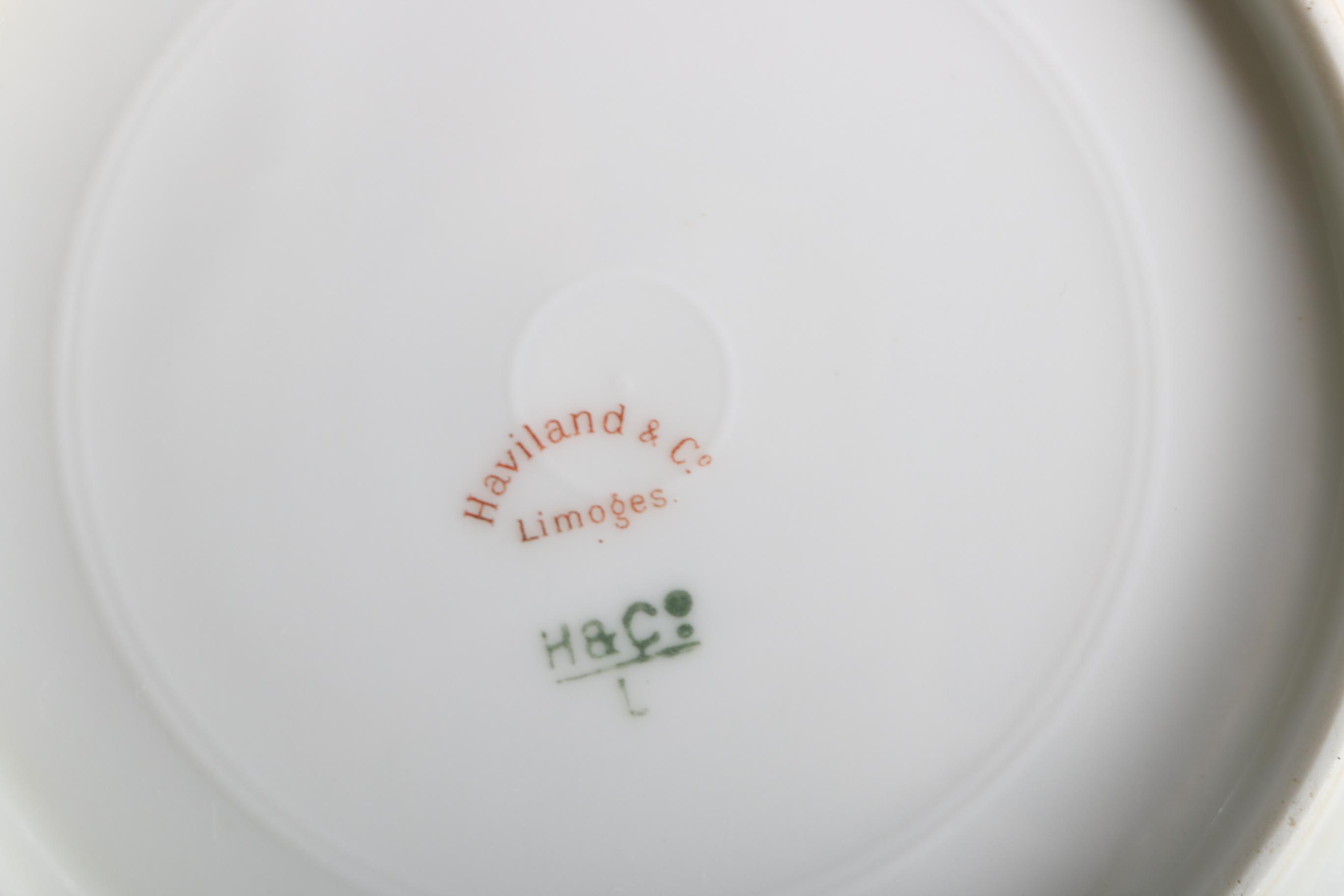 Haviland & Co. Limoges Porcelain Dinner Ware
