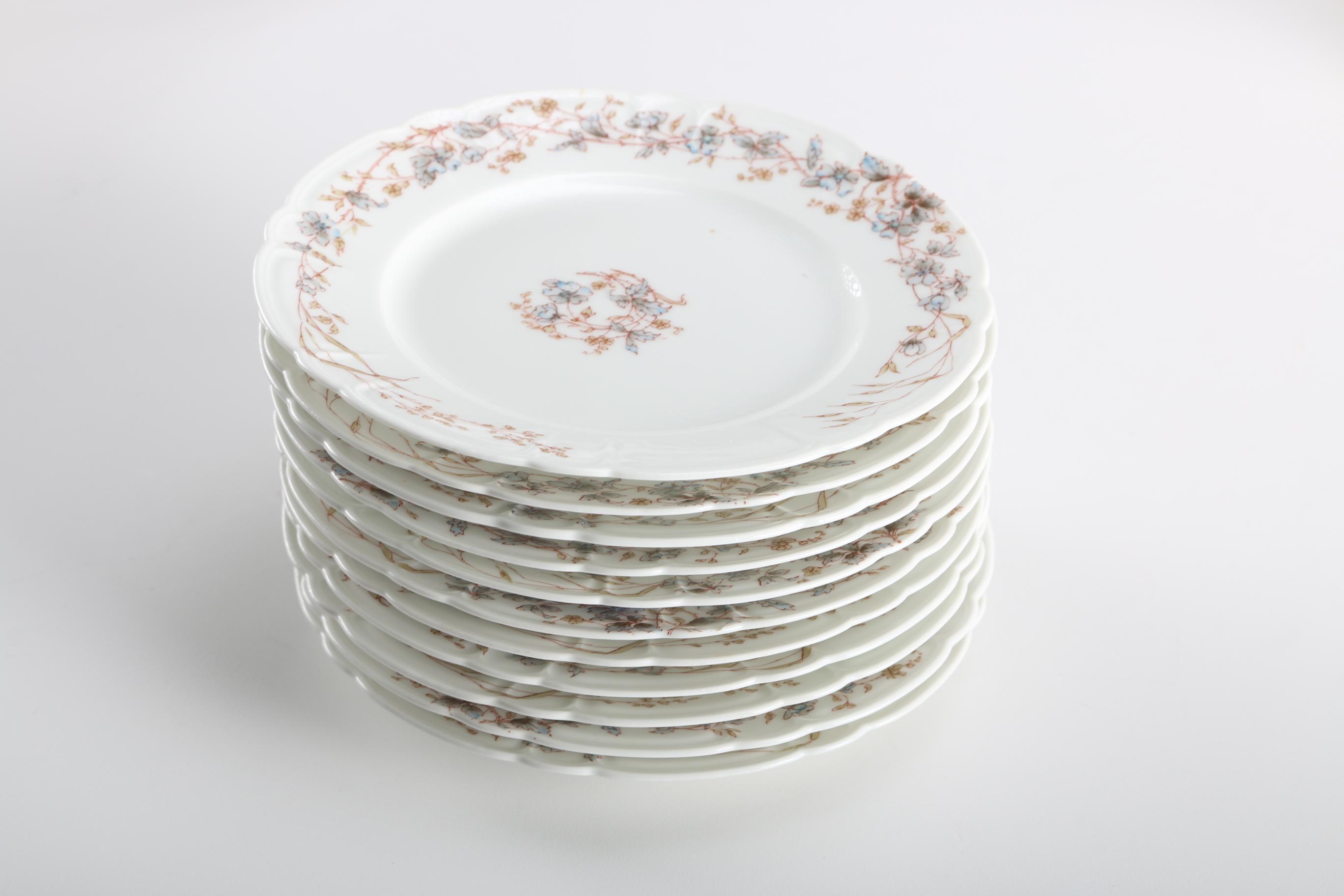 Haviland & Co. Limoges Porcelain Dinner Ware