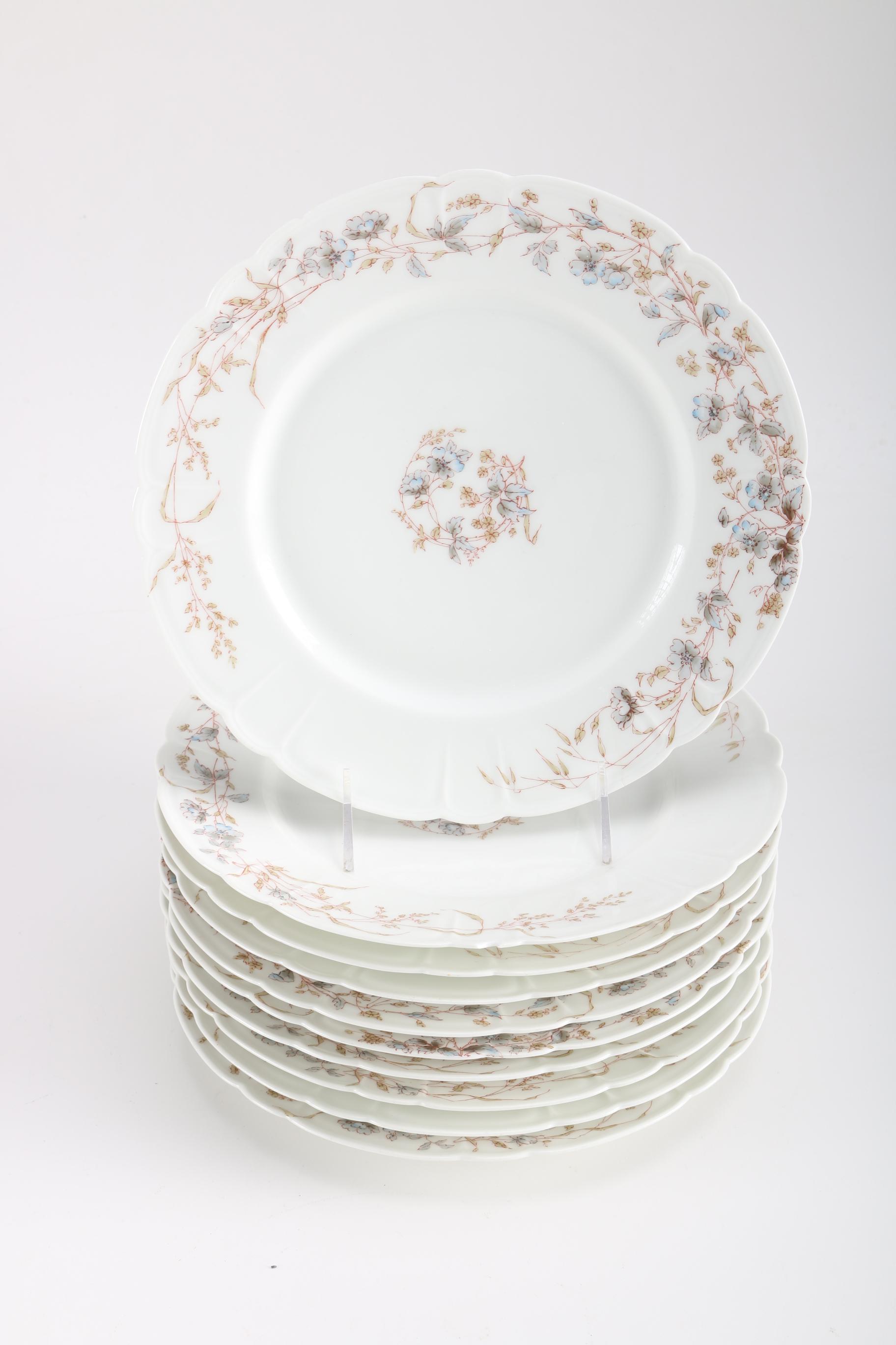 Haviland & Co. Limoges Porcelain Dinner Ware