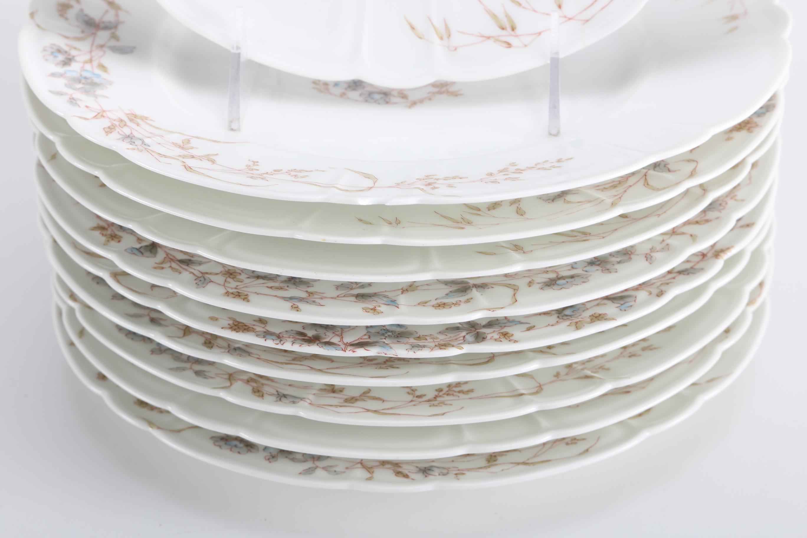 Haviland & Co. Limoges Porcelain Dinner Ware