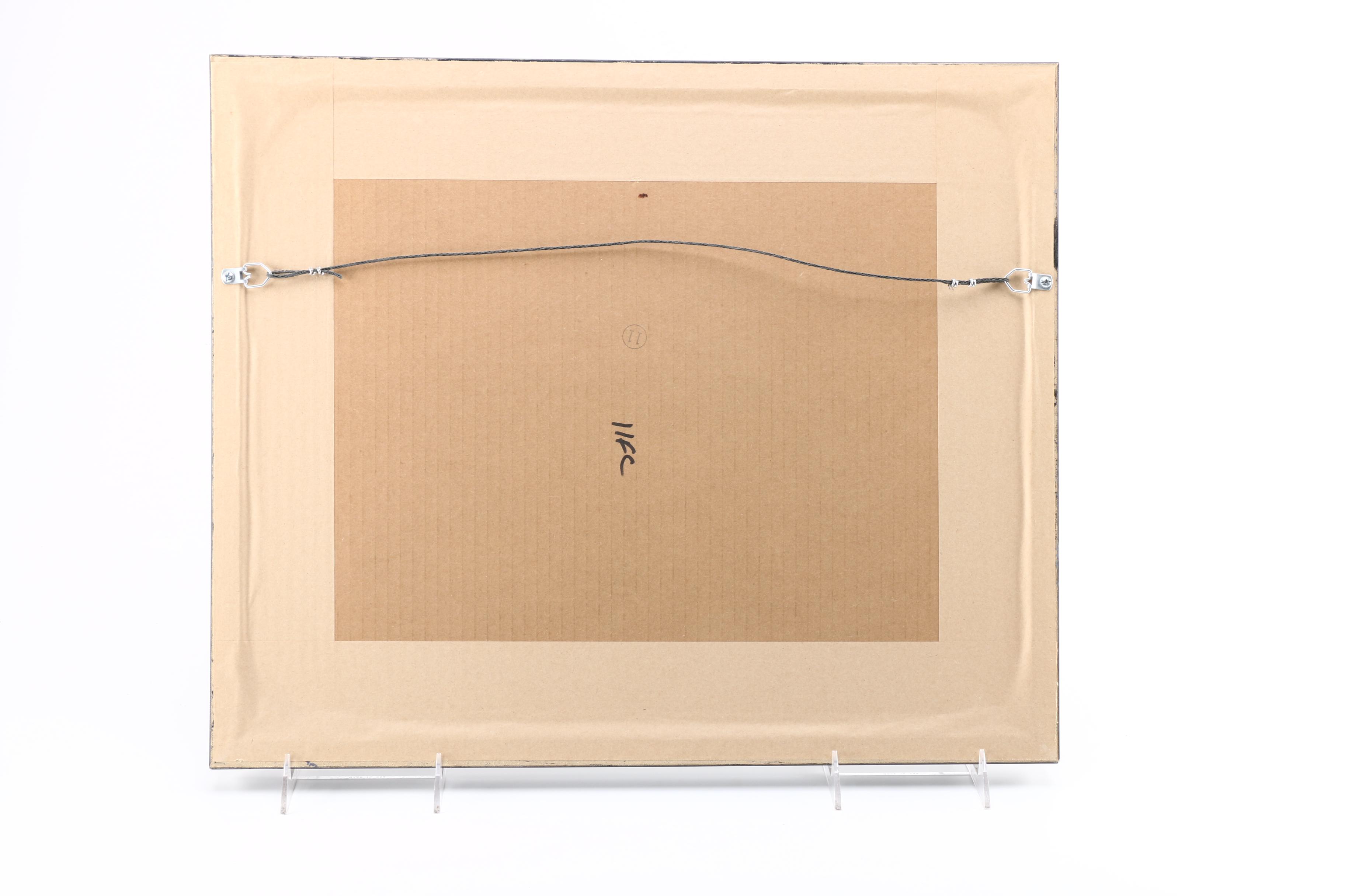 Framed Photograph of a Horse Race