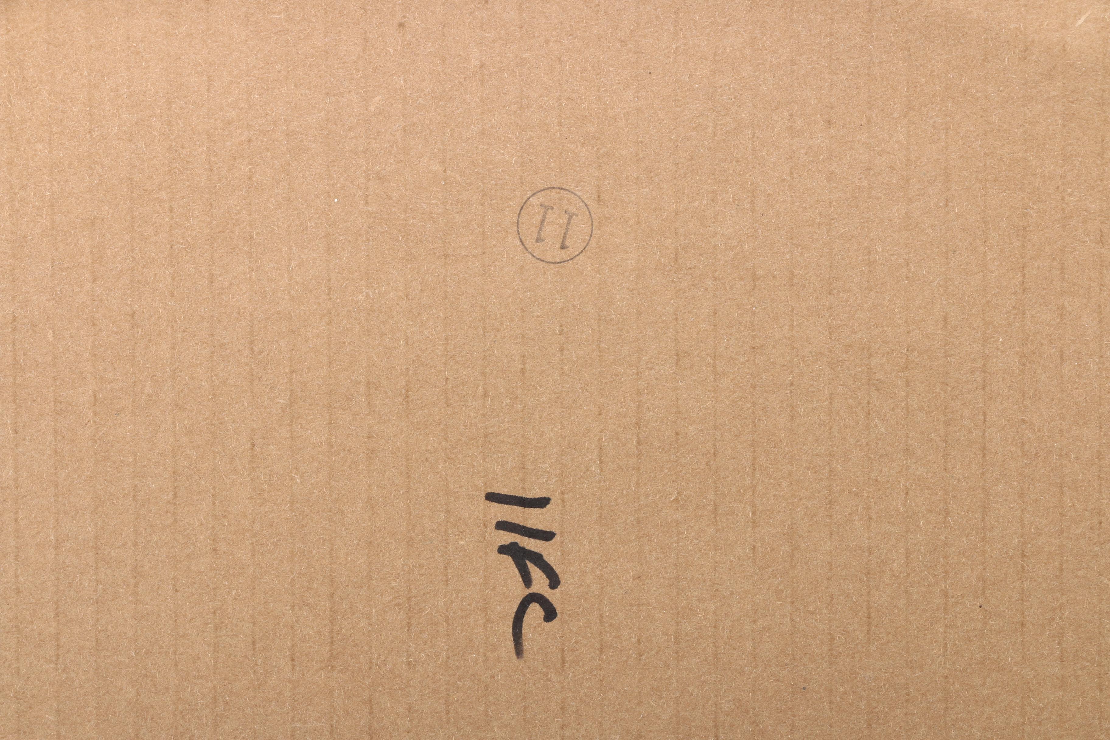 Framed Photograph of a Horse Race