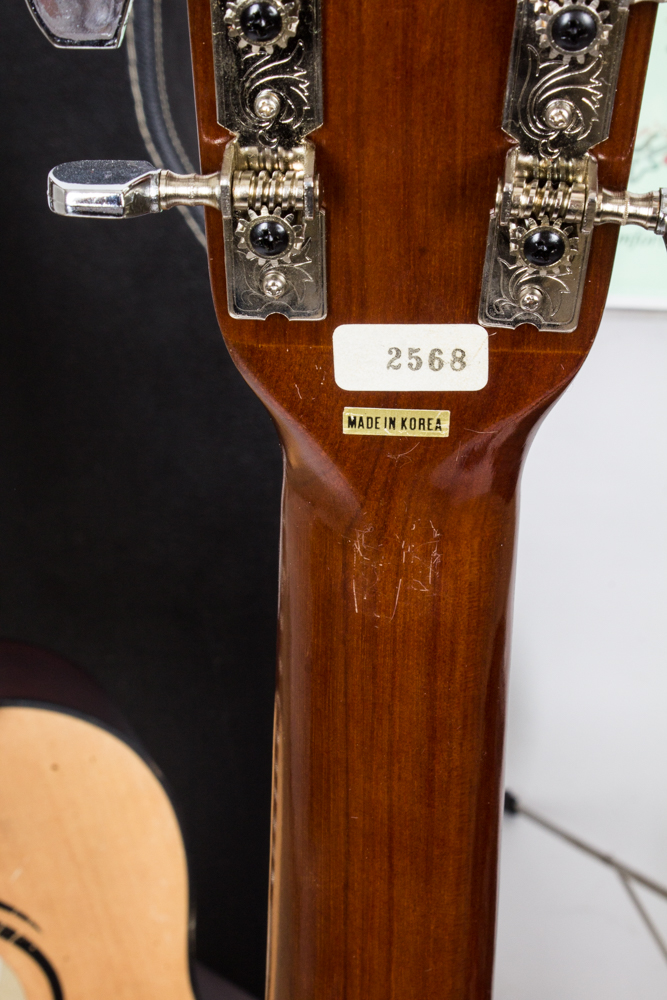 First Act, Akima Acoustic Guitars and Accessories