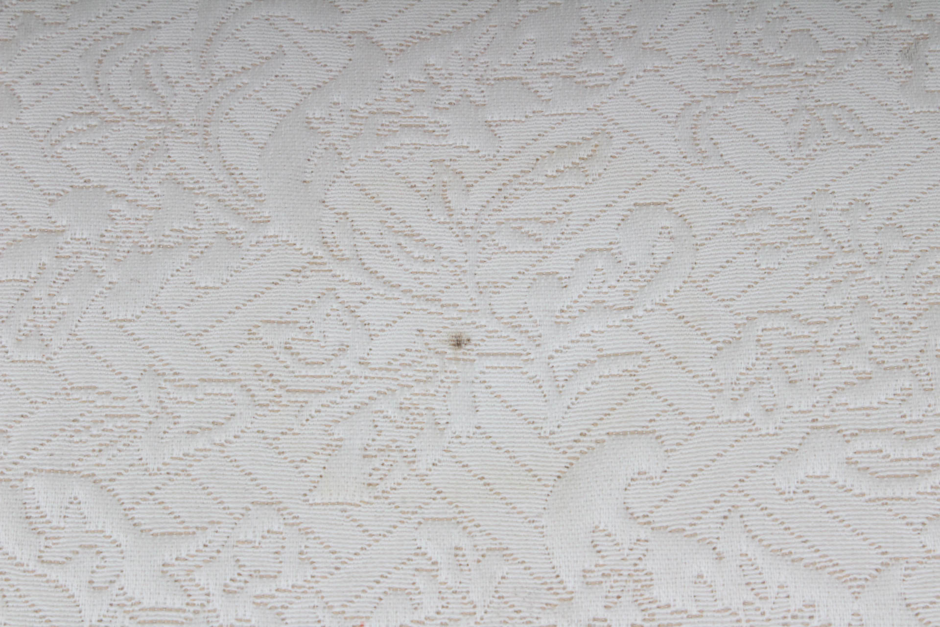 Art Nouveau Fainting Couch