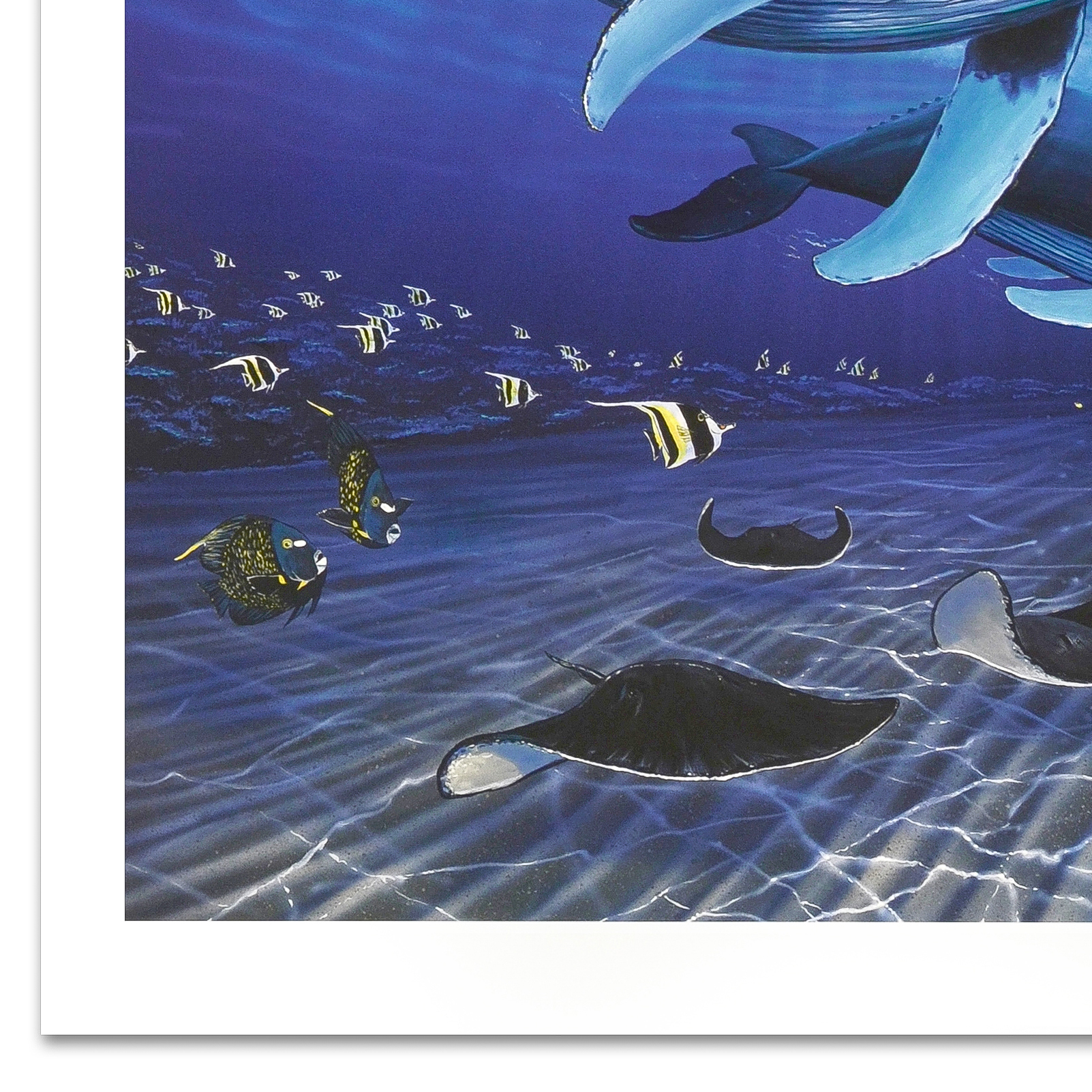 Wyland Signed Limited Edition Lithograph "Dawn of Creation"