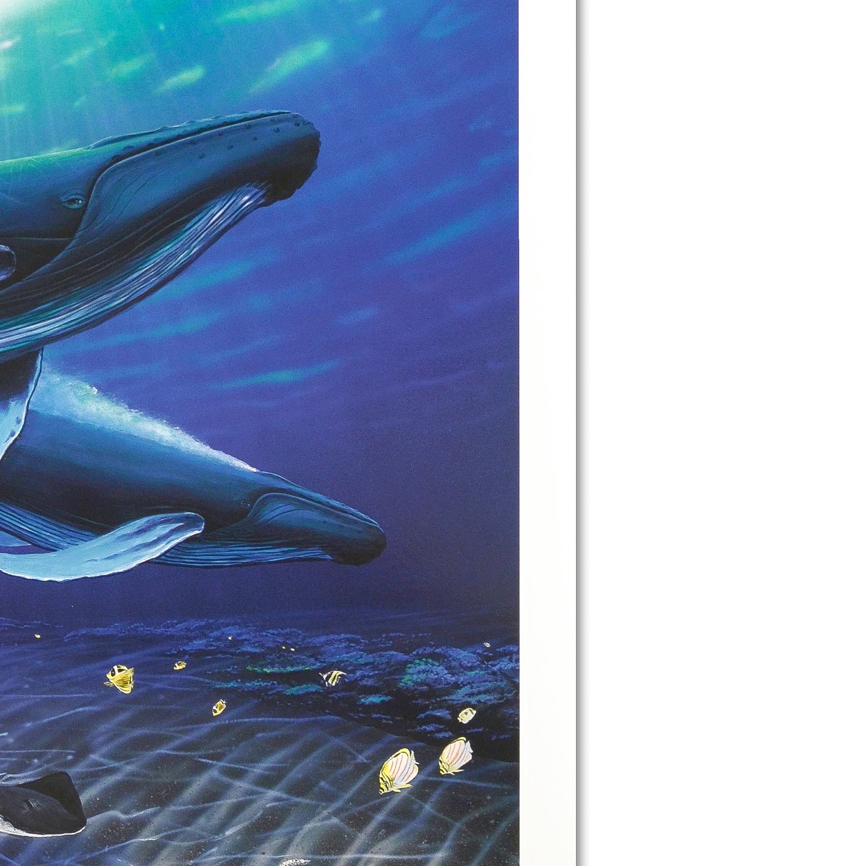 Wyland Signed Limited Edition Lithograph "Dawn of Creation"