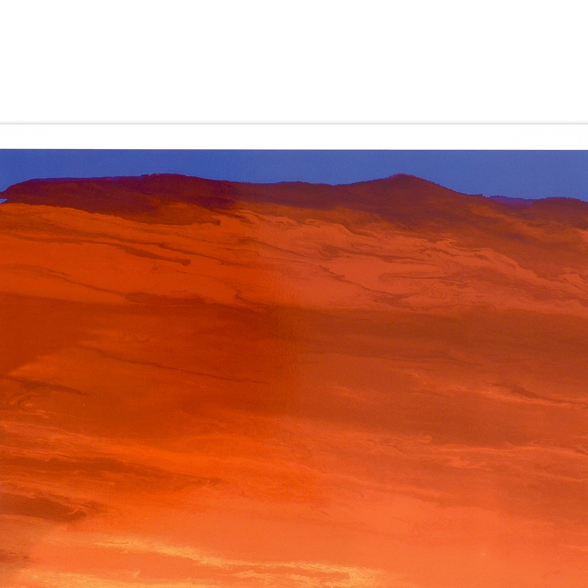 Wyland Signed Limited Edition Lithograph "Sounding Seas"