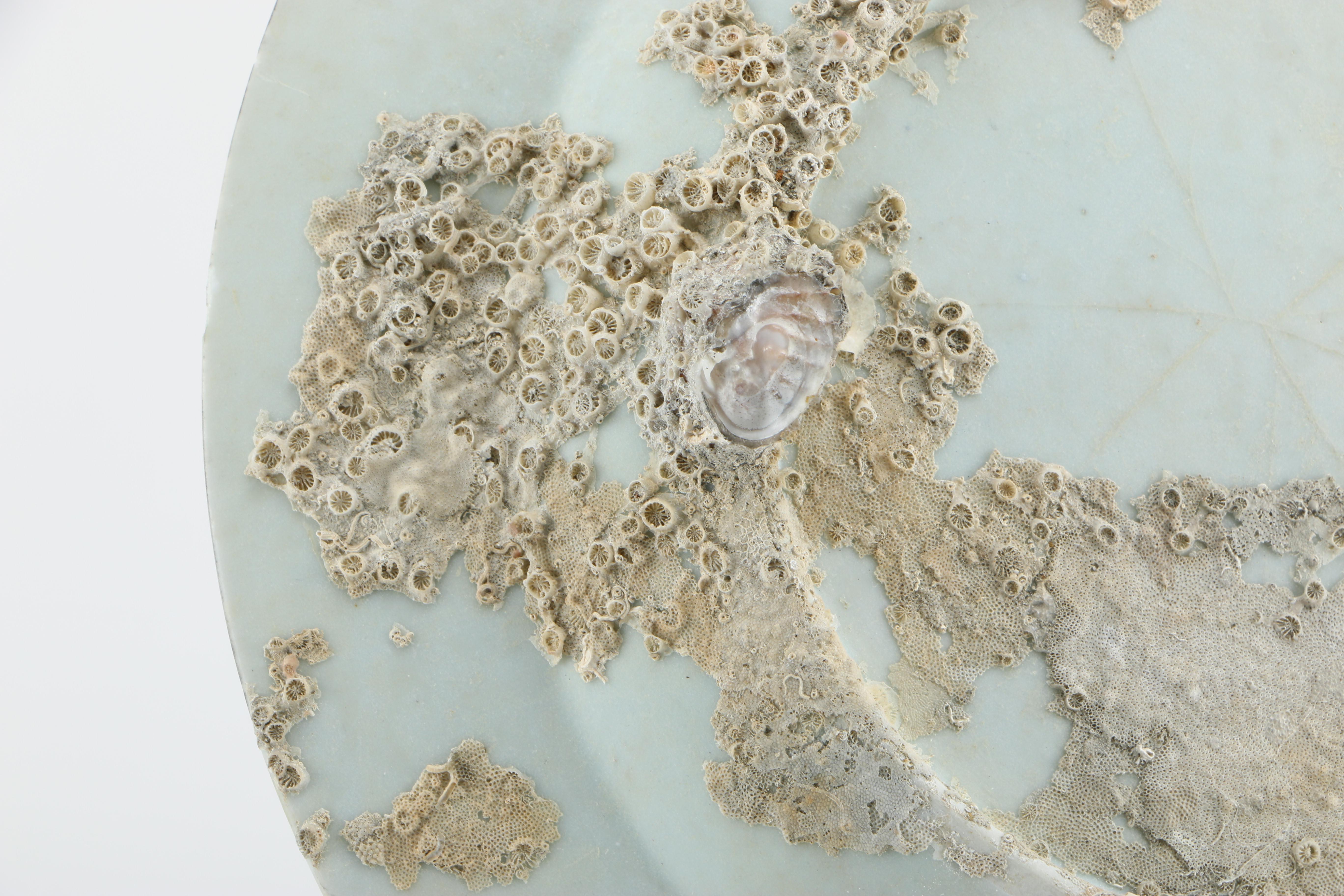 Qing Dynasty Plate Recovered From Geldermalsen Shipwreck and Ming Dynasty Zhangzhou Ware Plate