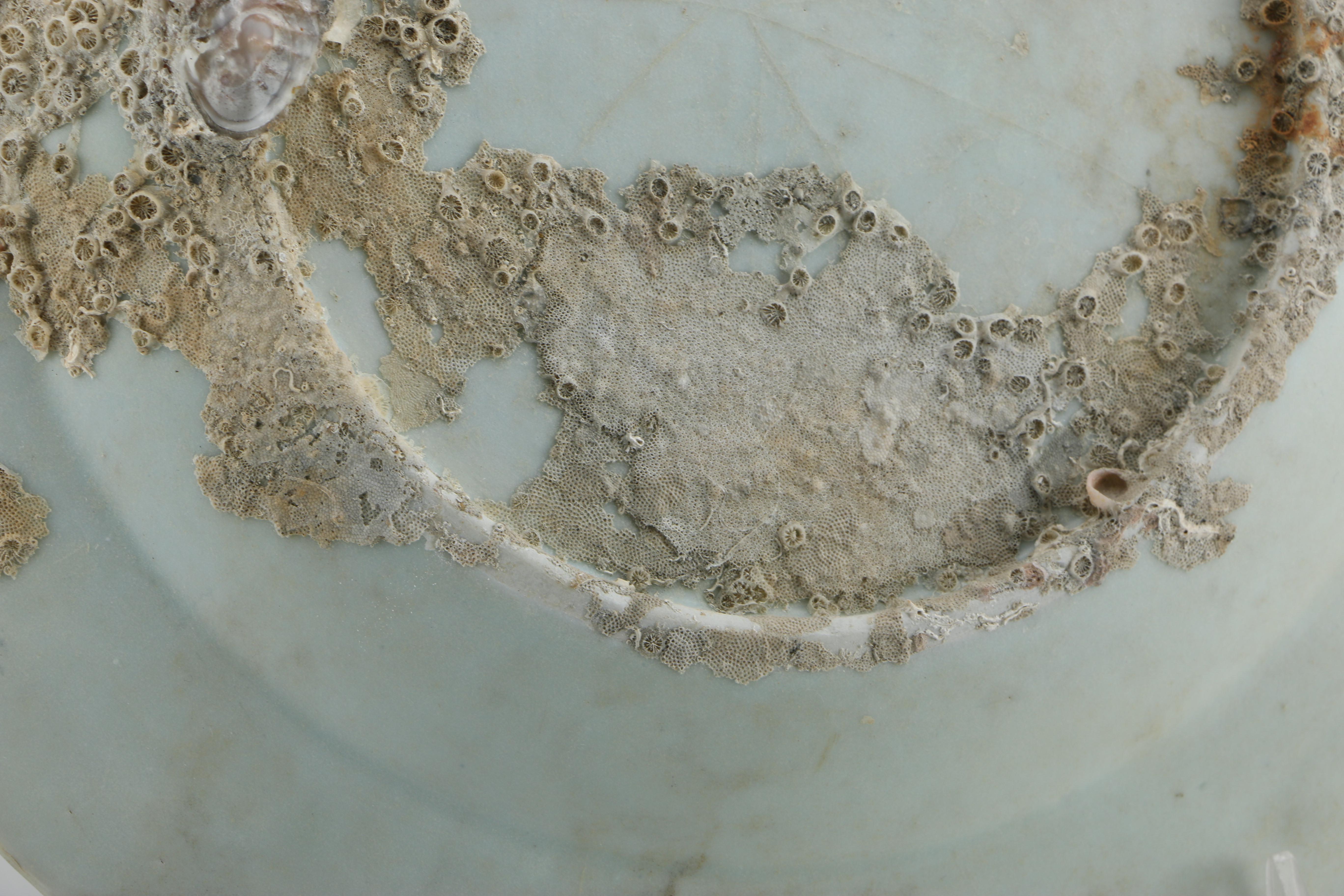 Qing Dynasty Plate Recovered From Geldermalsen Shipwreck and Ming Dynasty Zhangzhou Ware Plate