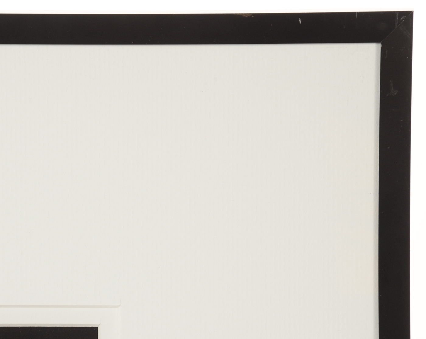 Three W.W. Miller Digital Photographic Prints of Flowers