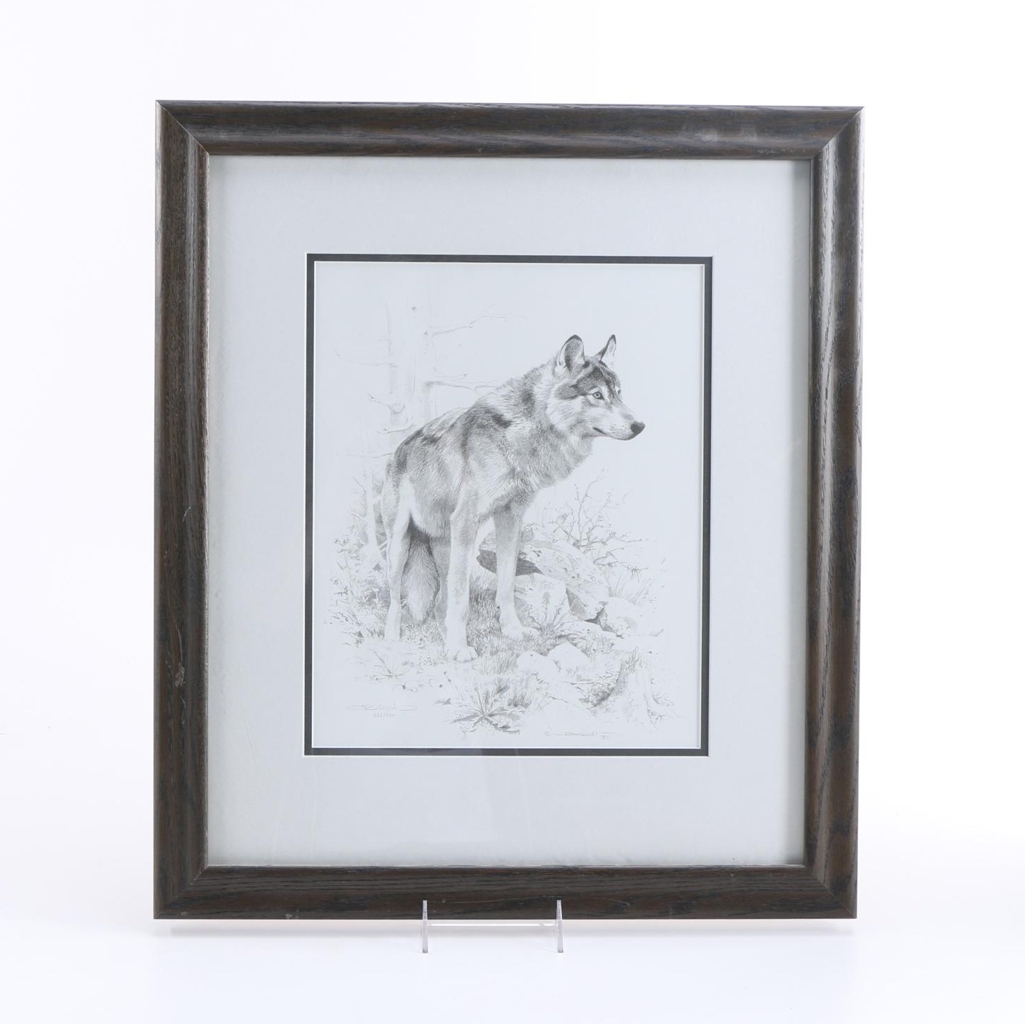 C. Brenders Limited Edition Offset Lithograph of a Wolf