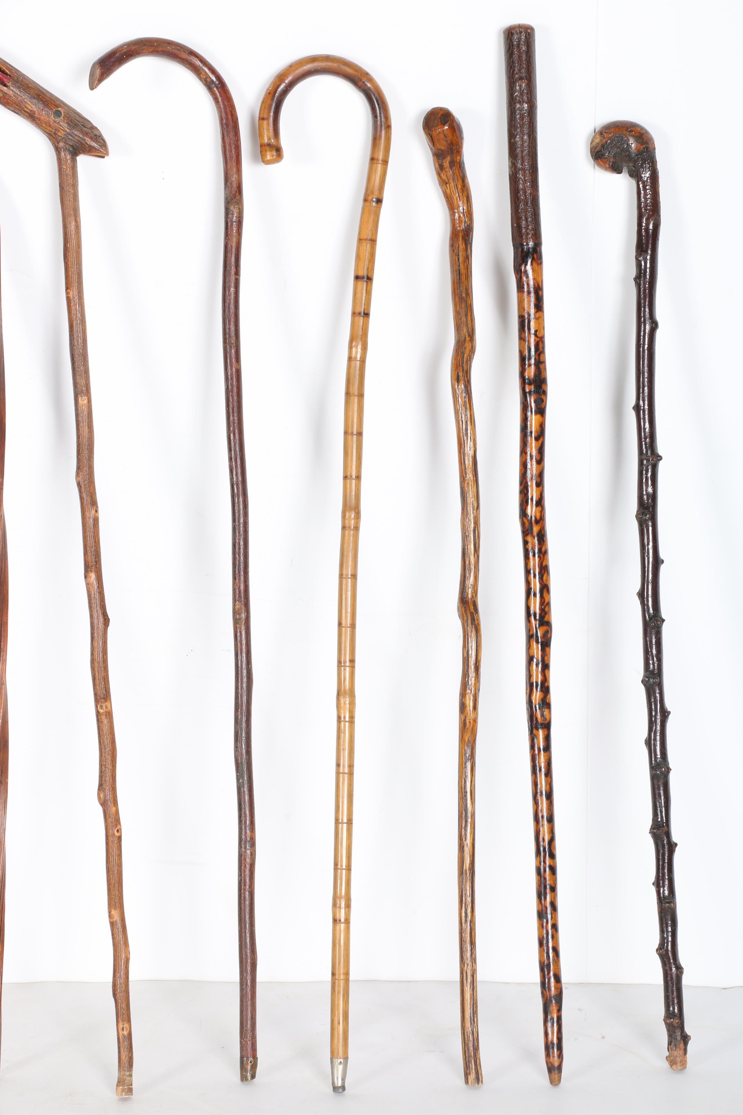 Walking Stick Collection