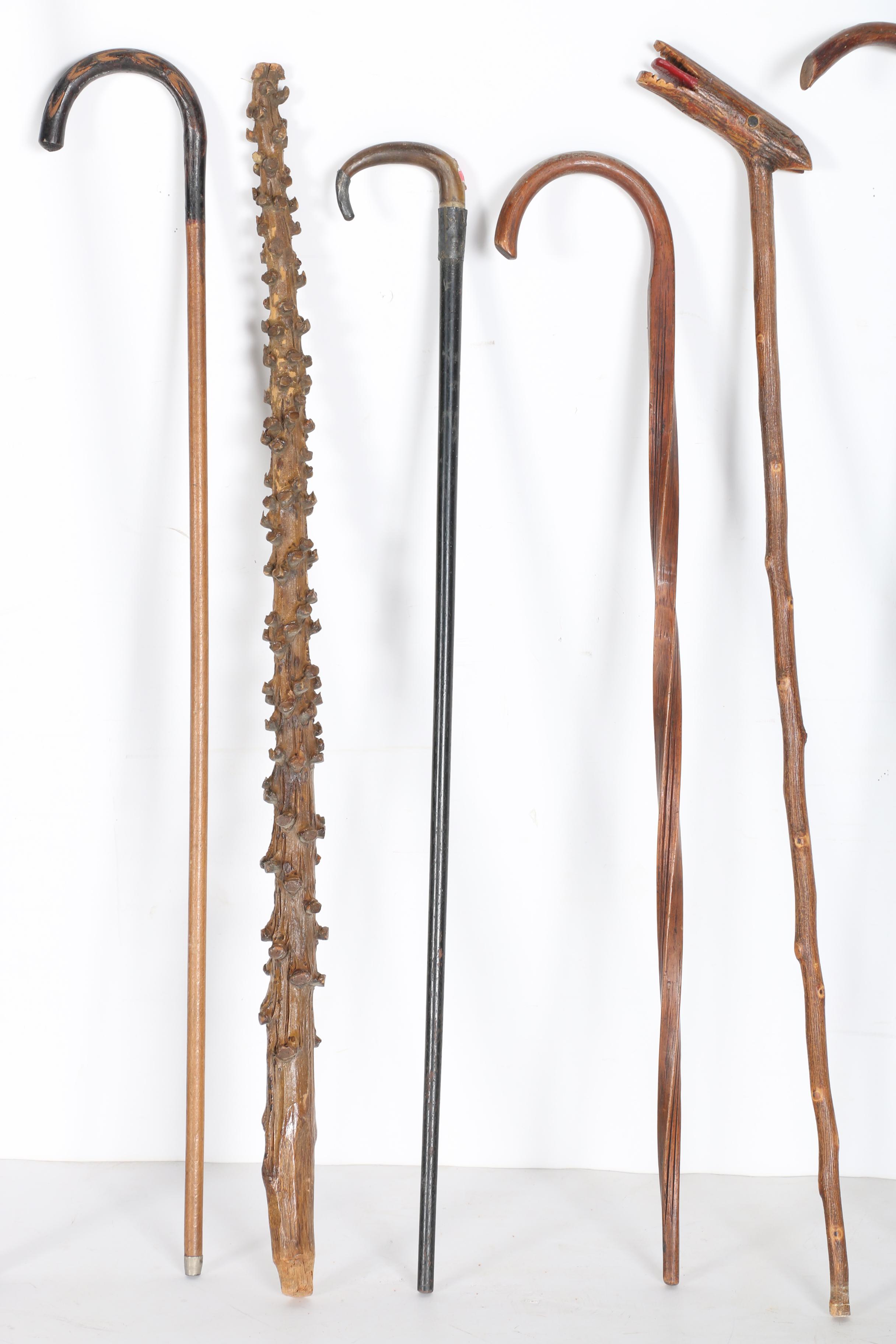 Walking Stick Collection