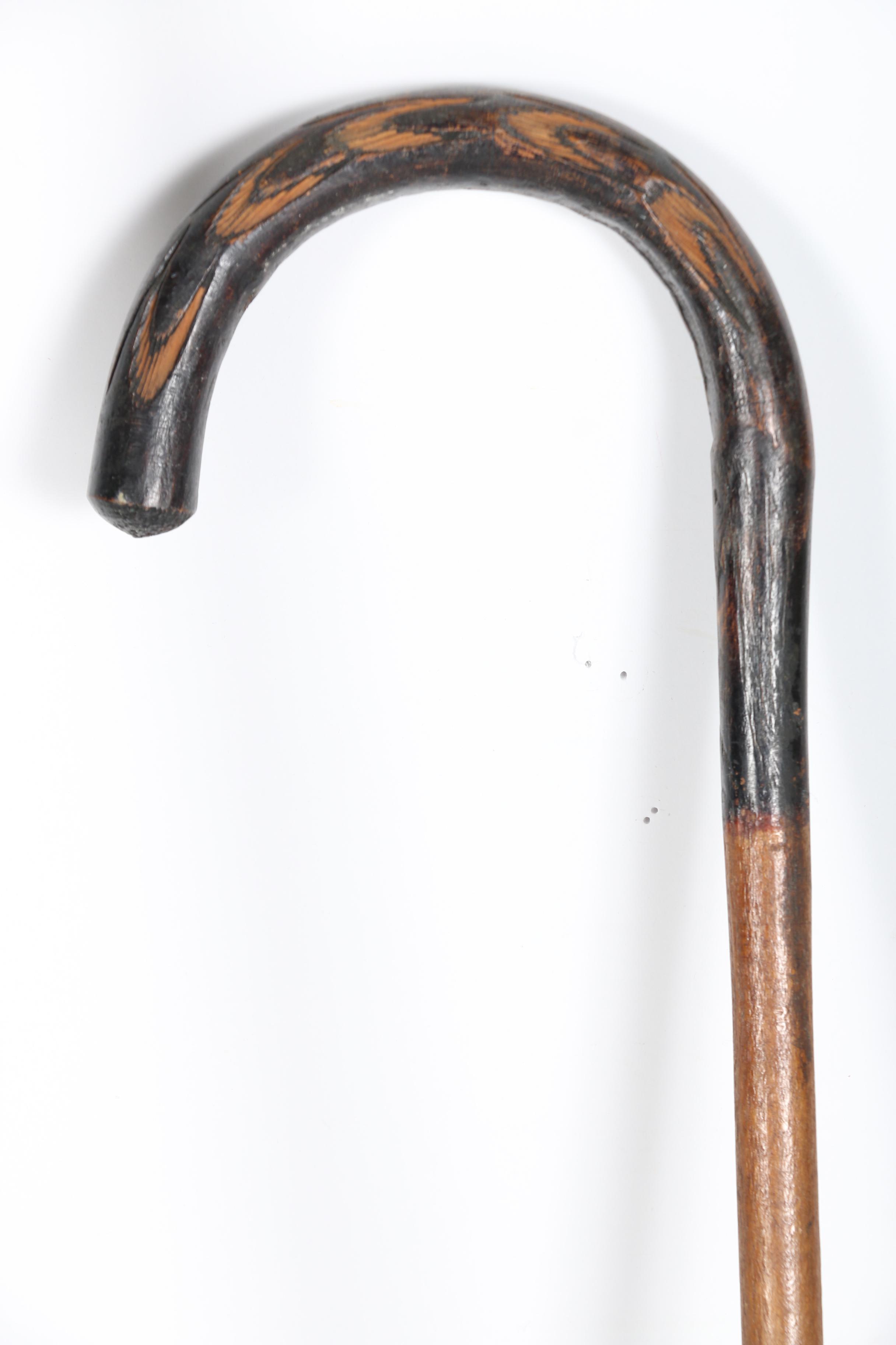 Walking Stick Collection