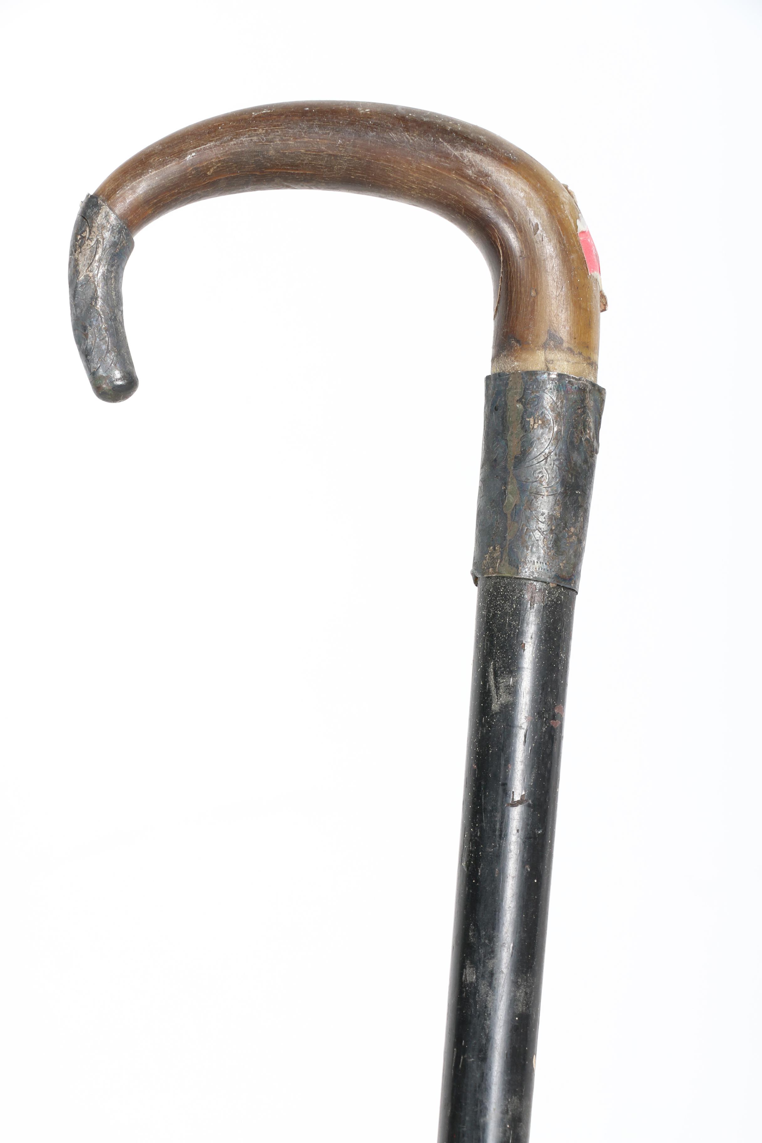 Walking Stick Collection