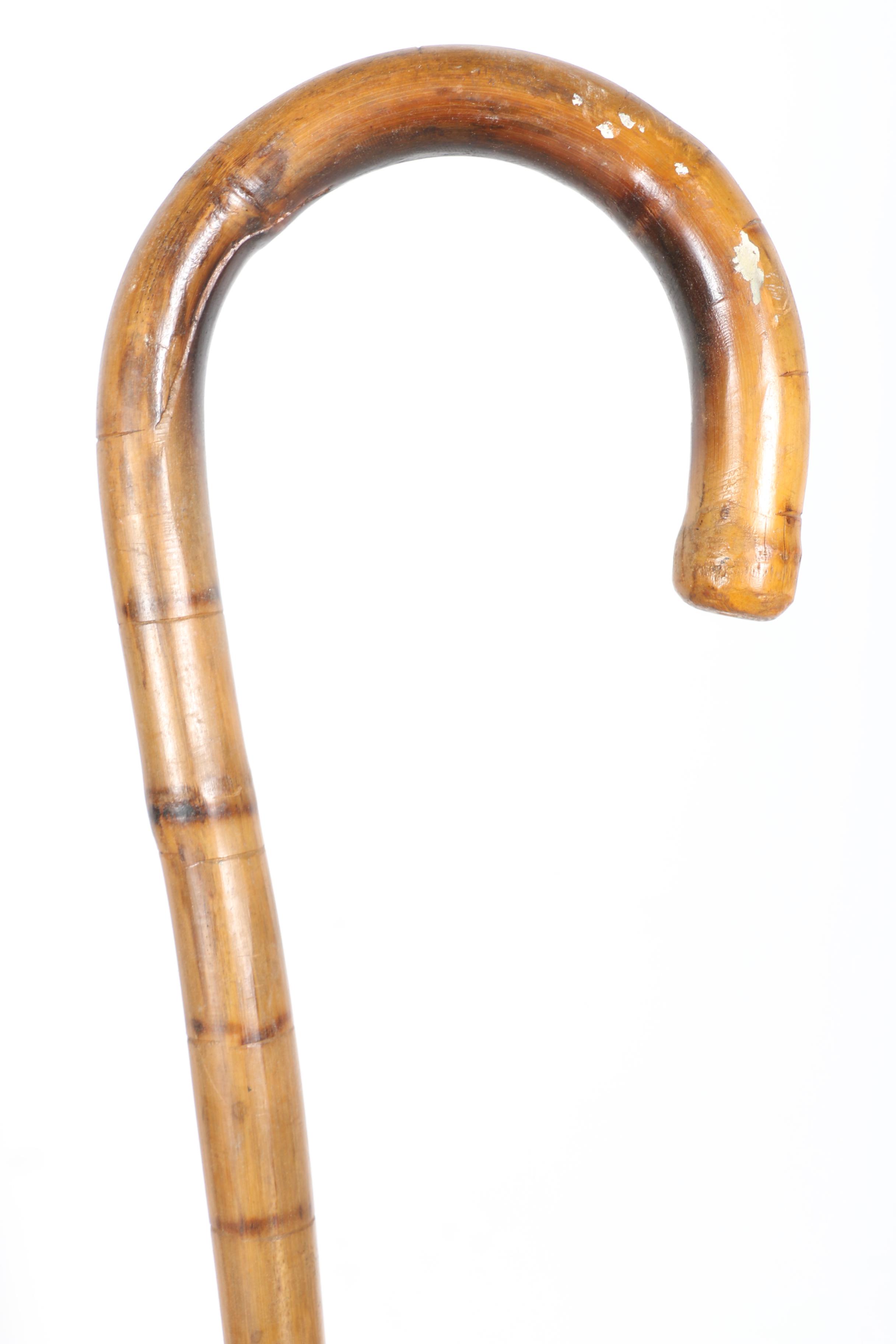 Walking Stick Collection