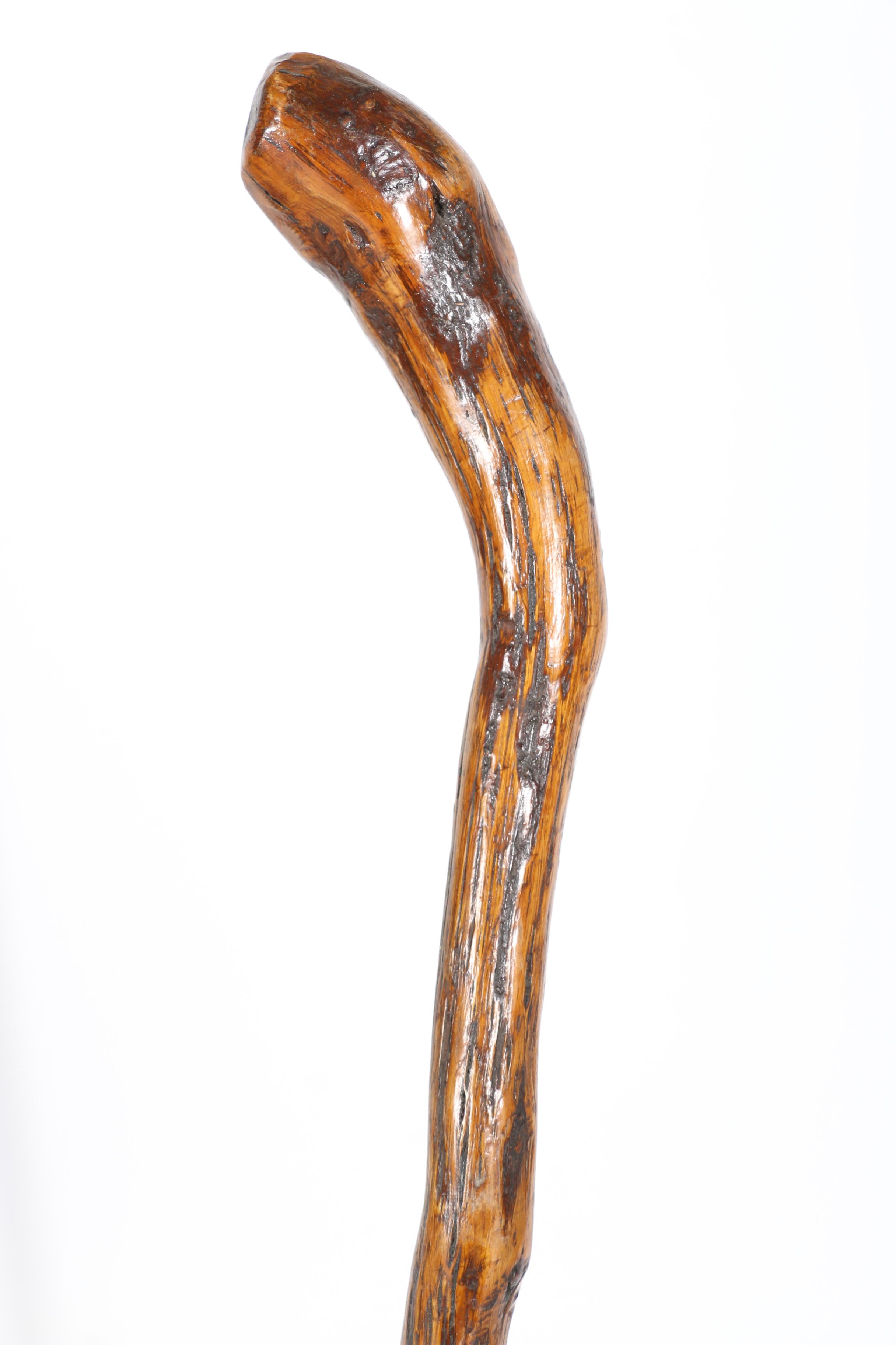 Walking Stick Collection