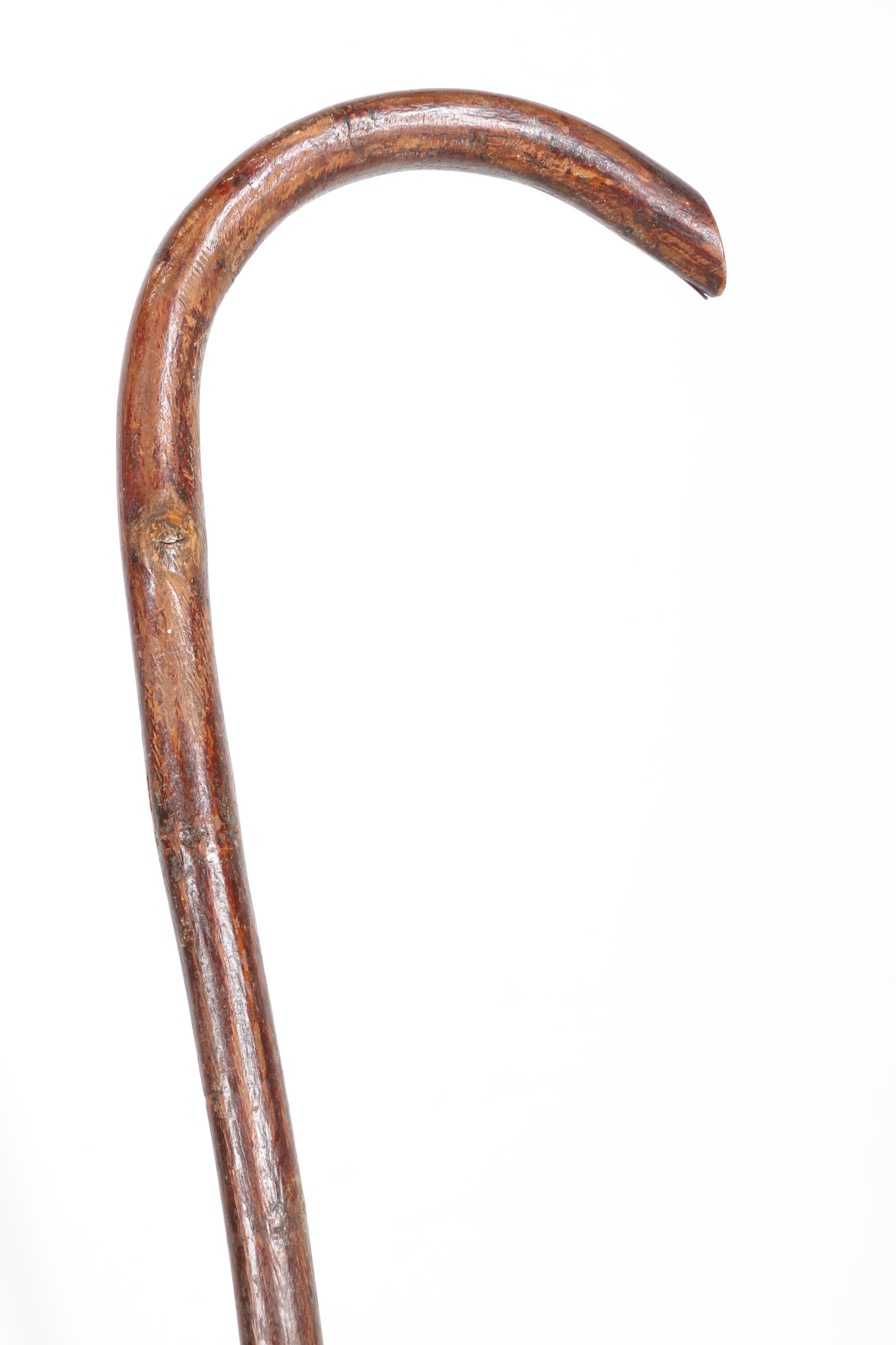 Walking Stick Collection