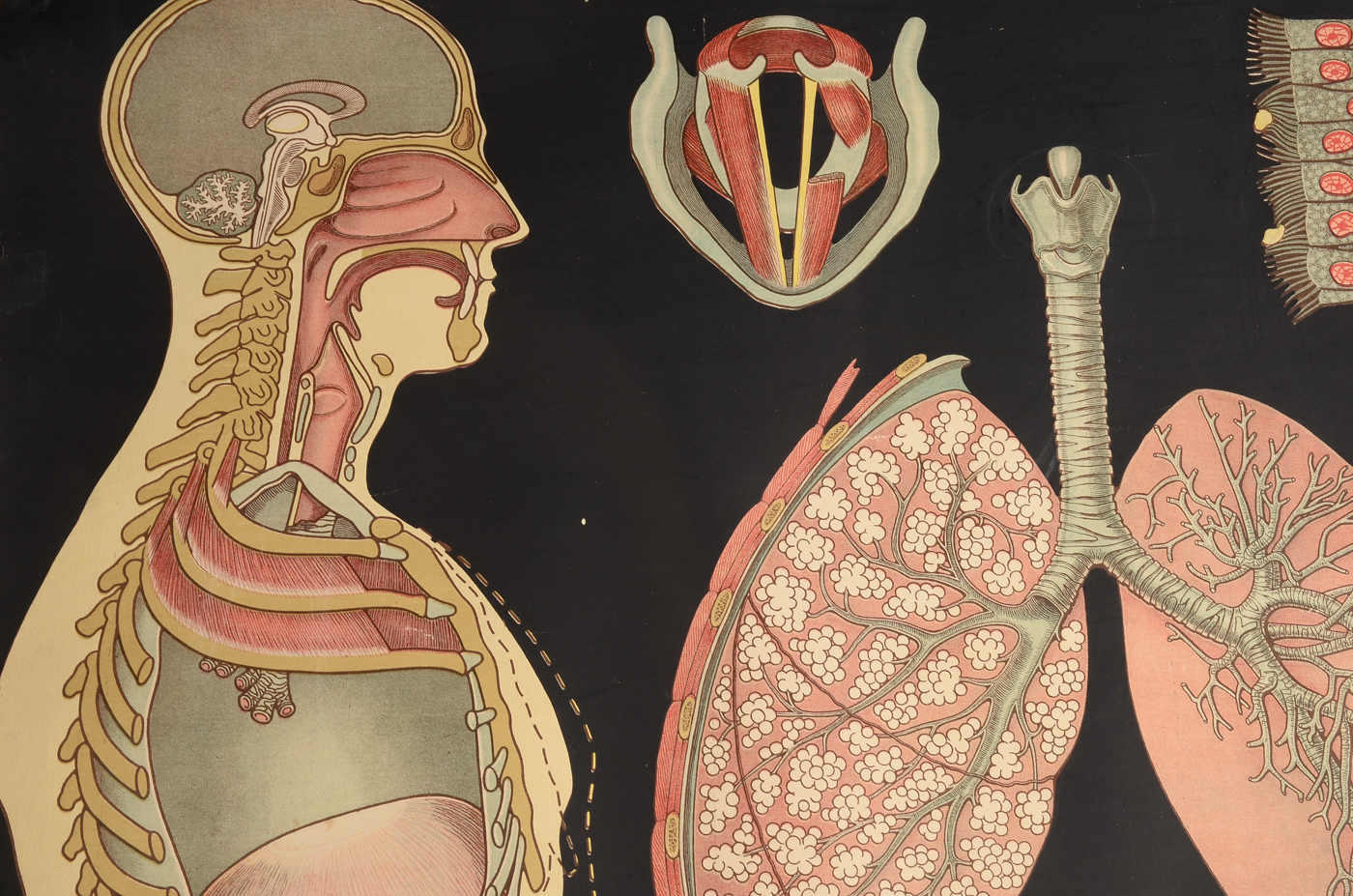 Two Antique Health and Hygiene Posters