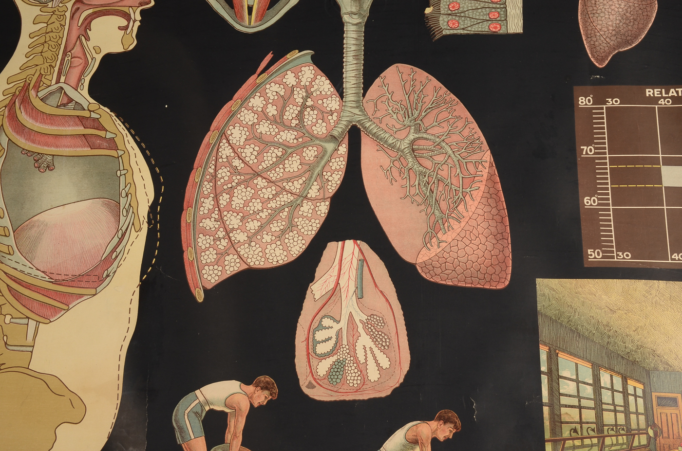 Two Antique Health and Hygiene Posters