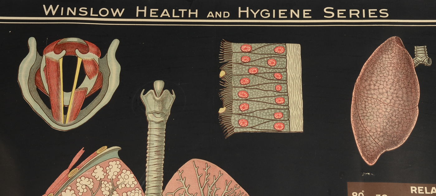 Two Antique Health and Hygiene Posters