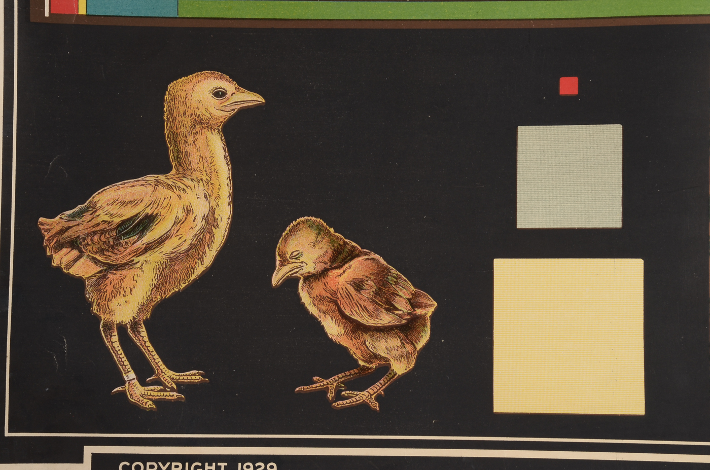 Two Antique Health and Hygiene Posters