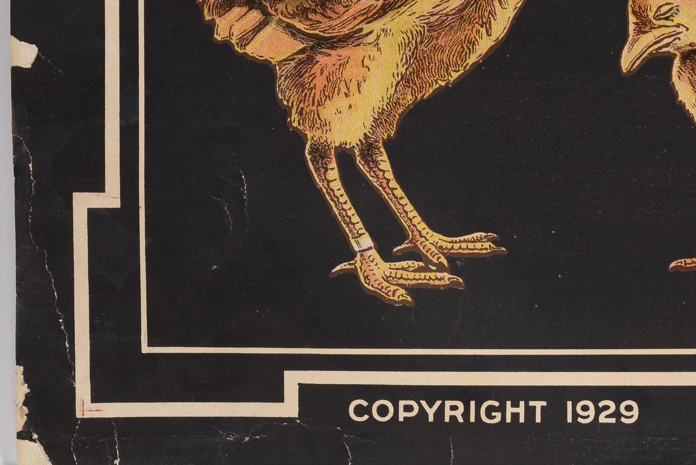 Two Antique Health and Hygiene Posters