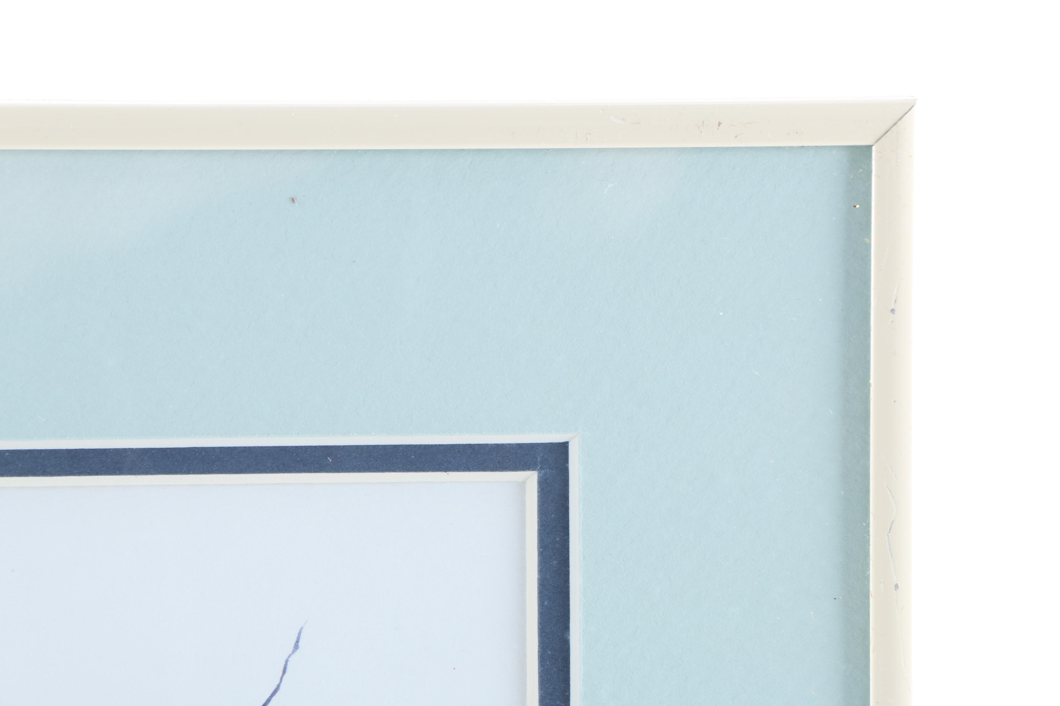 Framed Offset Lithograph of Sand Dollars