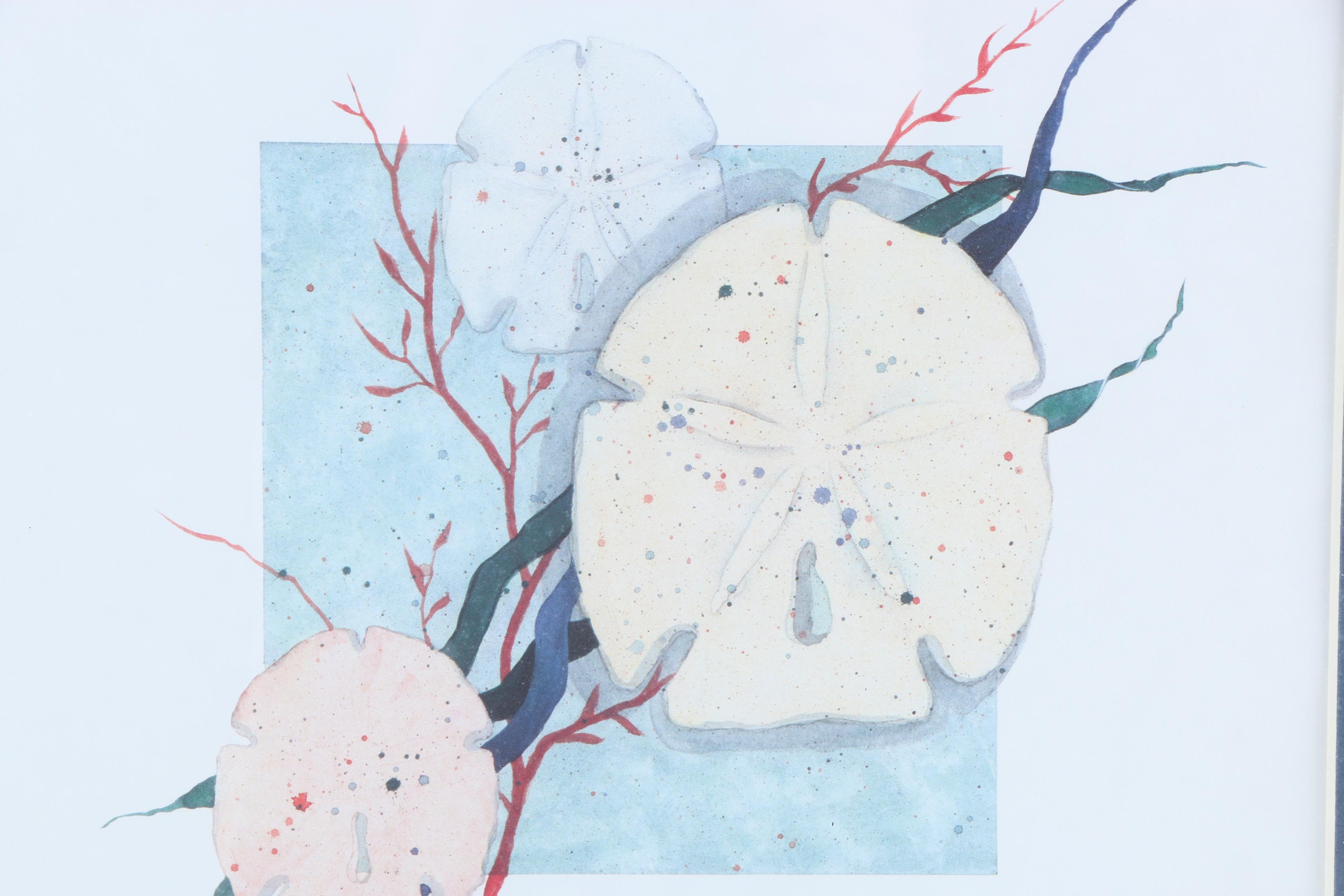 Framed Offset Lithograph of Sand Dollars