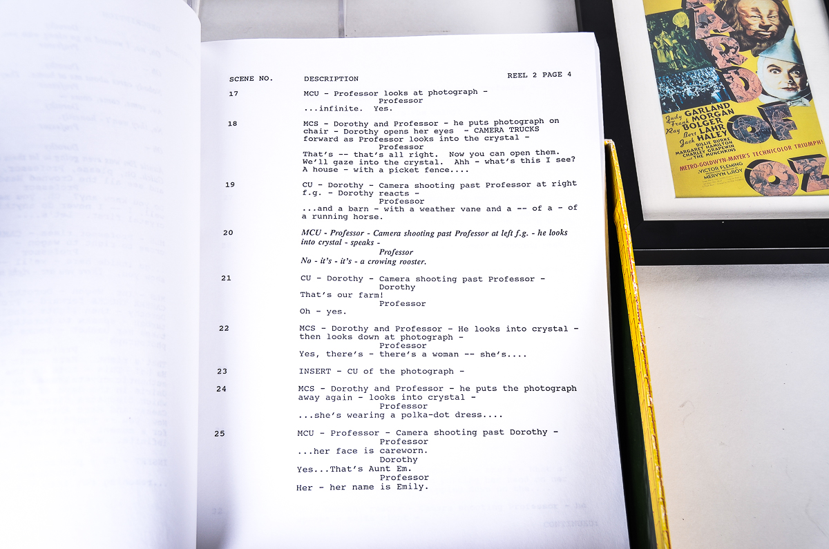 "Wizard of Oz: Deluxe Edition" DVD and Ephemera