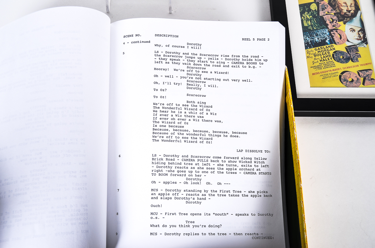 "Wizard of Oz: Deluxe Edition" DVD and Ephemera