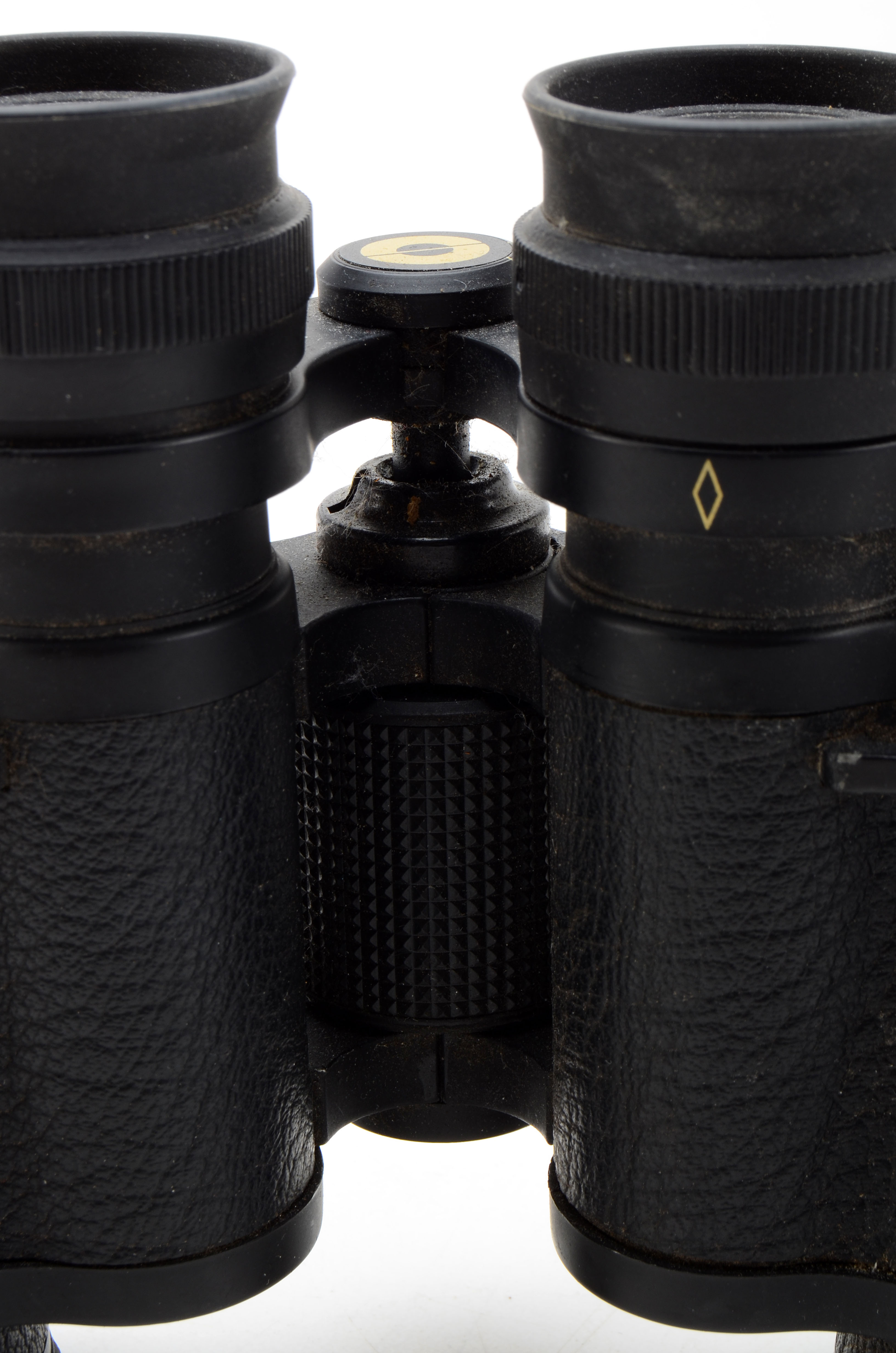 Pair of Vintage Binoculars