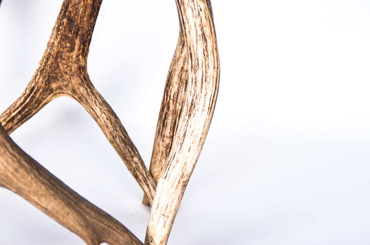 Deer Hide and Antler Footstool